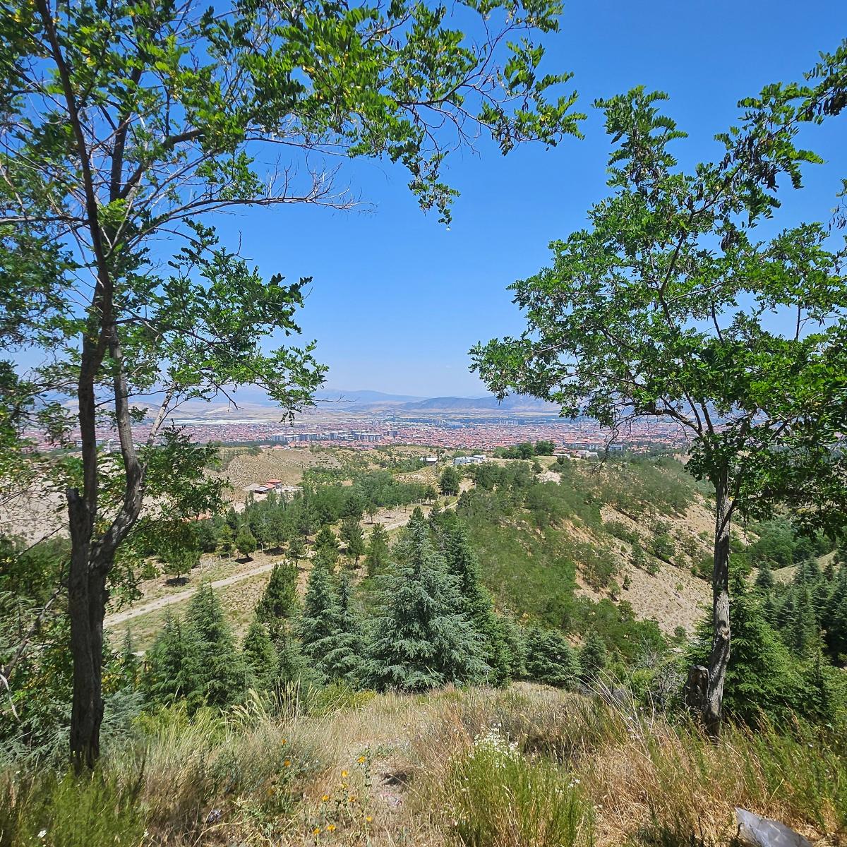 By Capital Yatırım