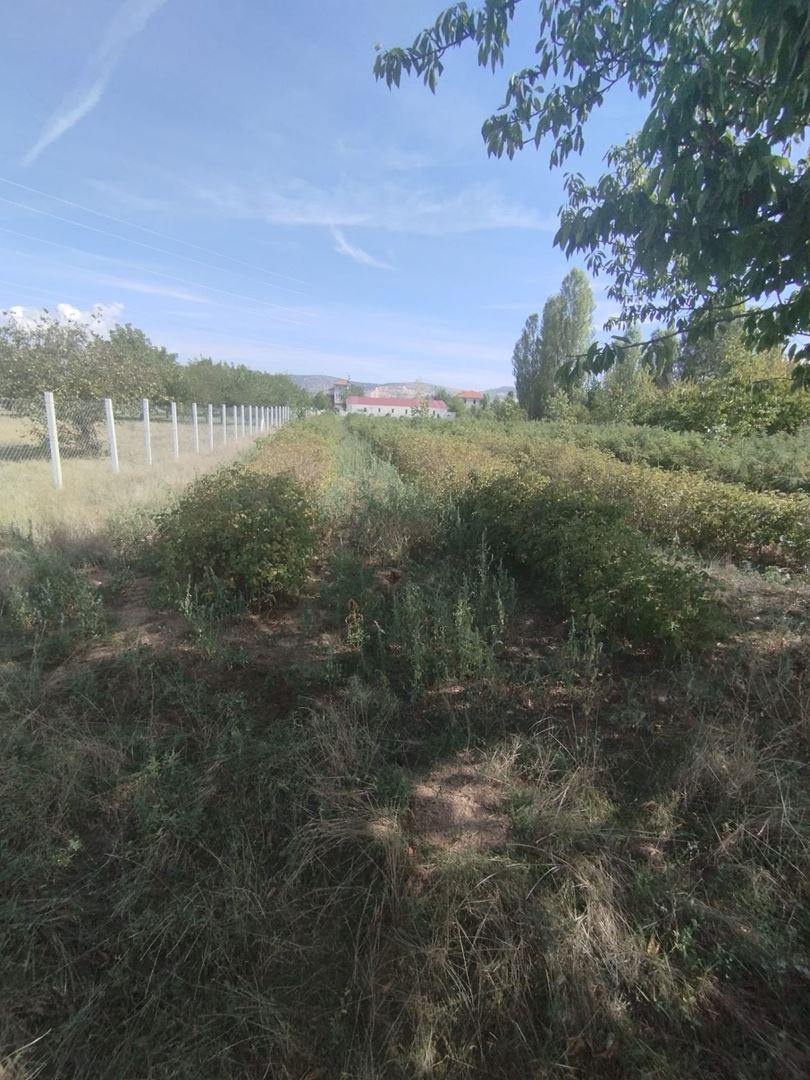 ısparta büyük gökçelide yatırımlık satılık konut, depo ve arazi - 52