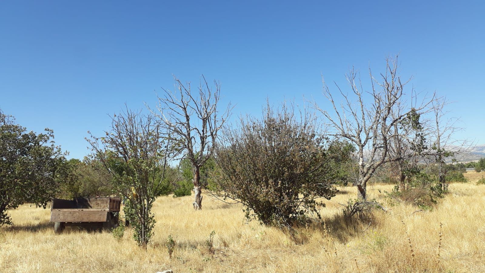 ısparta merkez kuleönünde 1935 m2 satılık tarla - 10