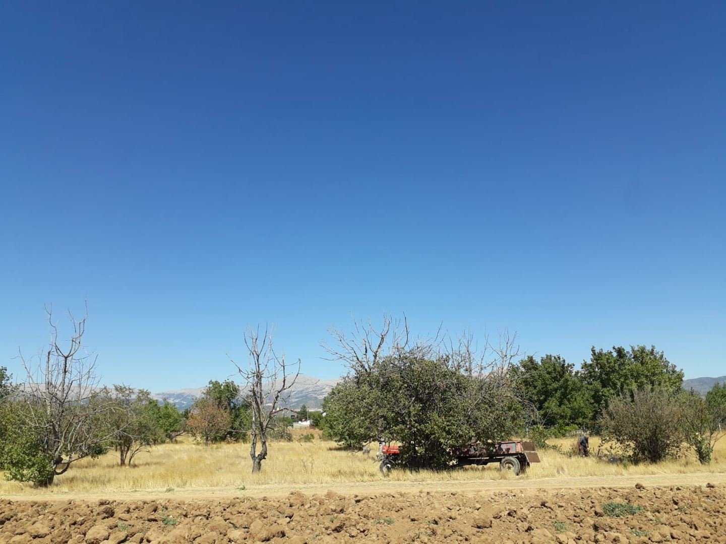 ısparta merkez kuleönünde 1935 m2 satılık tarla - 13