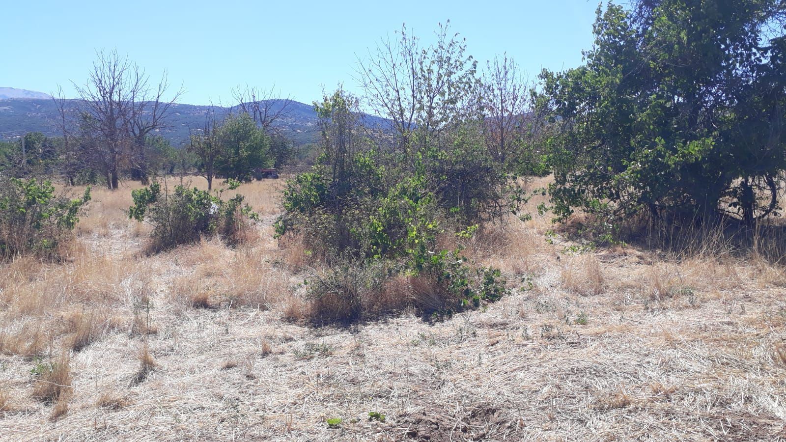 ısparta merkez kuleönünde 1935 m2 satılık tarla - 5