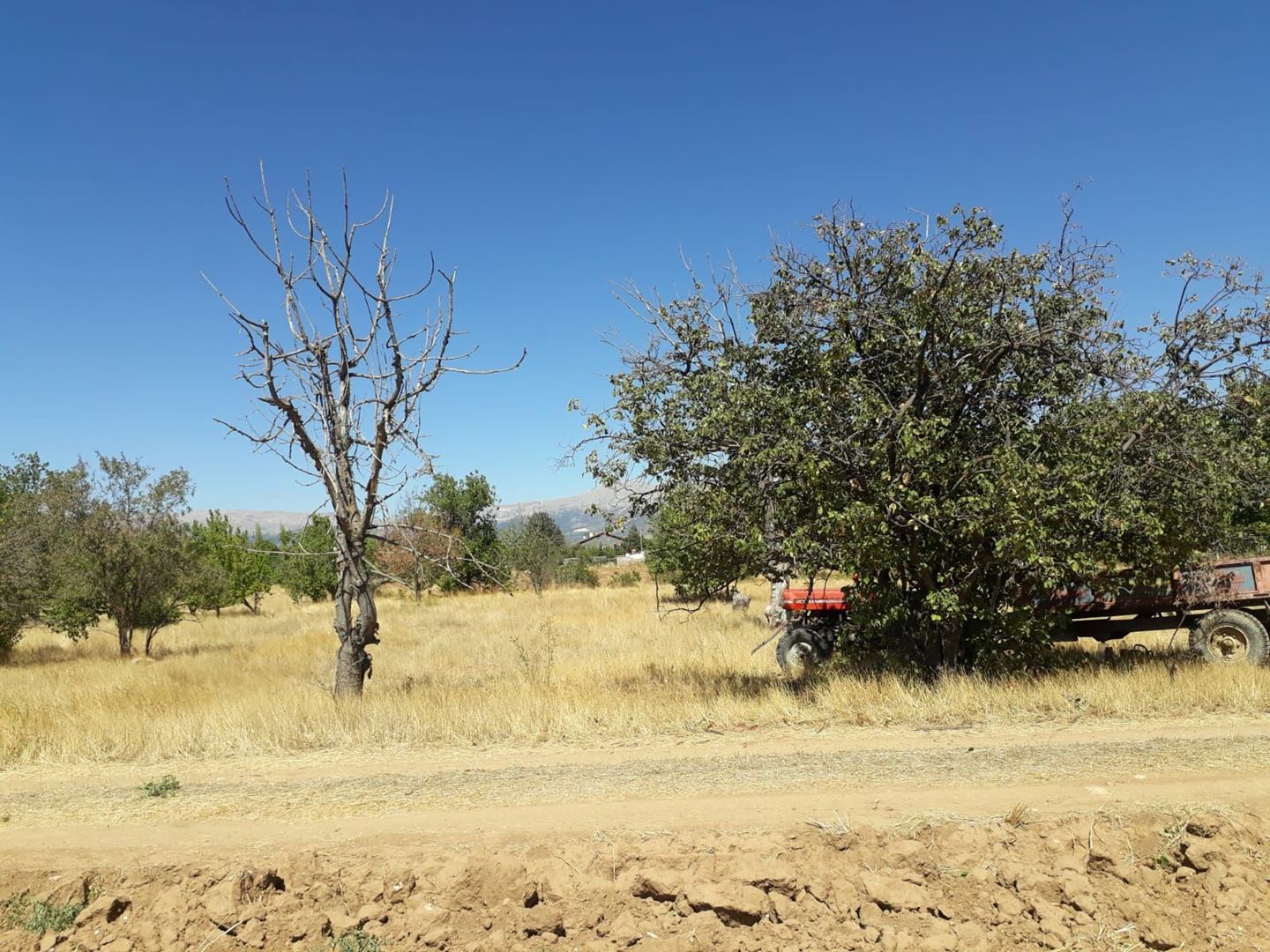 ısparta merkez kuleönünde 1935 m2 satılık tarla - 14