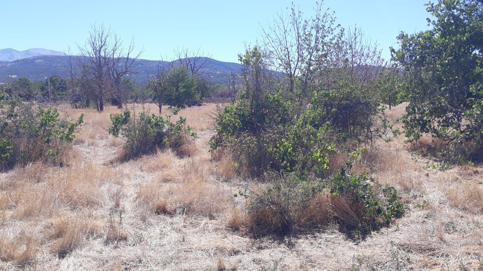 ısparta merkez kuleönünde 1935 m2 satılık tarla - 6