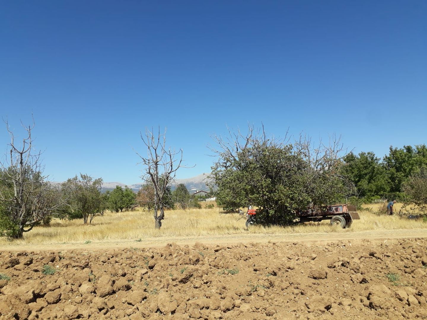 ısparta merkez kuleönünde 1935 m2 satılık tarla - 12