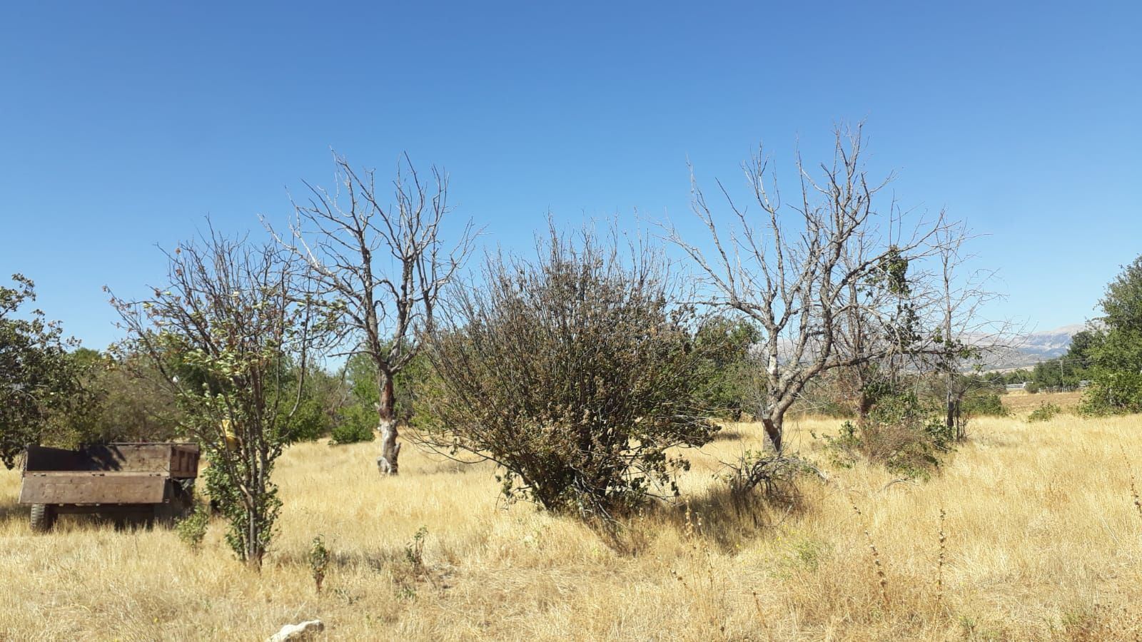 ısparta merkez kuleönünde 1935 m2 satılık tarla - 11