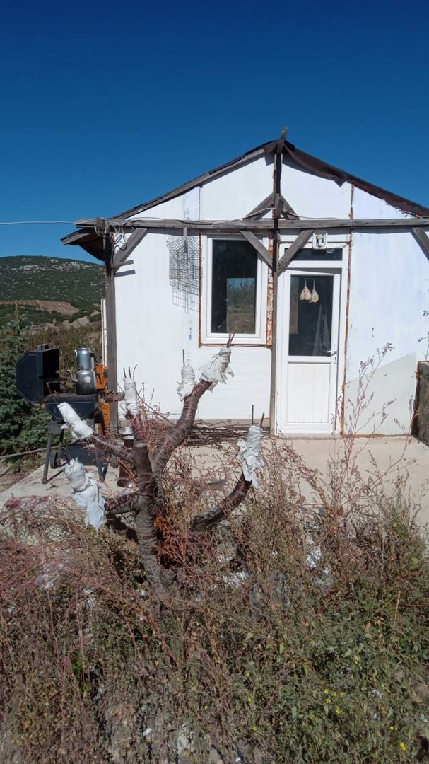 ısparta eğirdir bademli köyünde satılık armut bahçesi