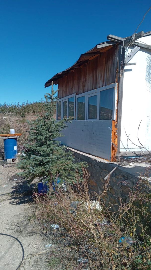 ısparta eğirdir bademli köyünde satılık armut bahçesi - 3