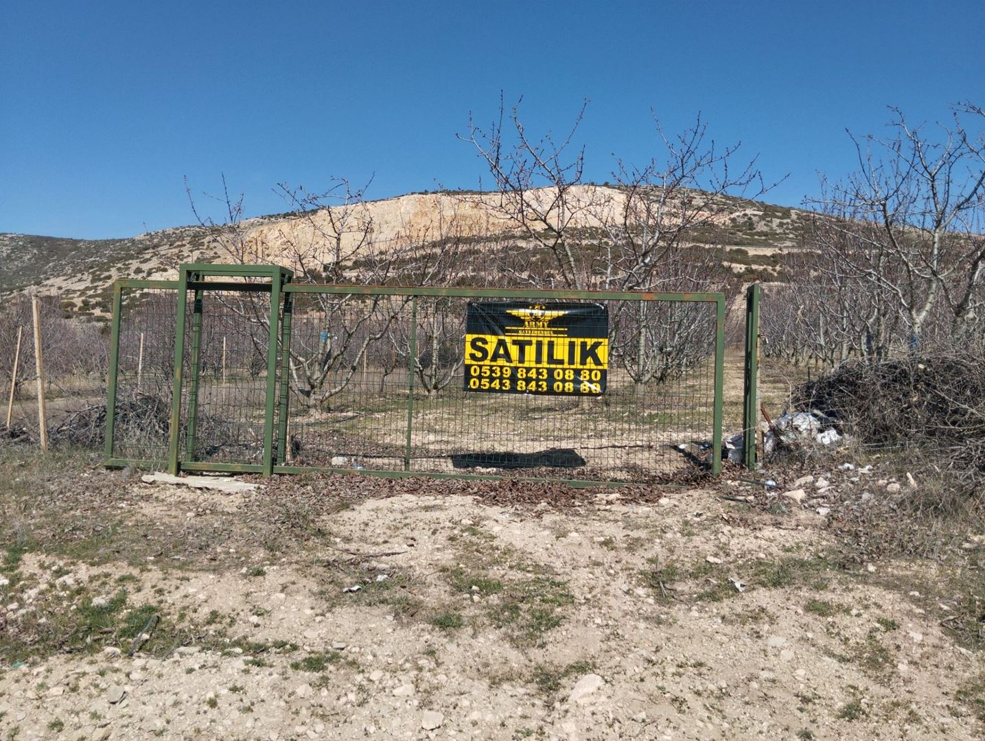 ısparta atabey harmanörende yatırımlık kiraz bahçesi