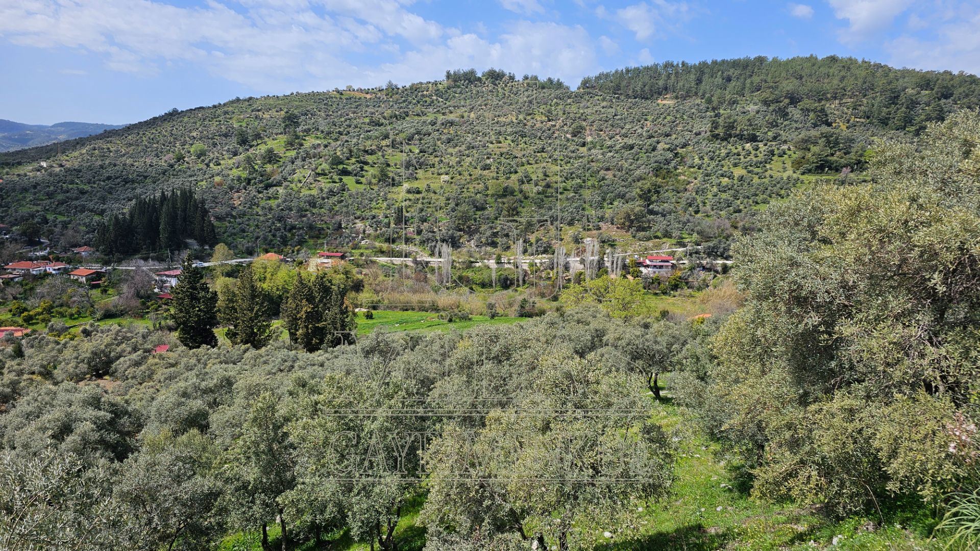 Denize yakın Doğa İçinde Dere Kenarı Yaşam Konsepti Oluşturacak ArsaMuğla, Milas, Dere - 18