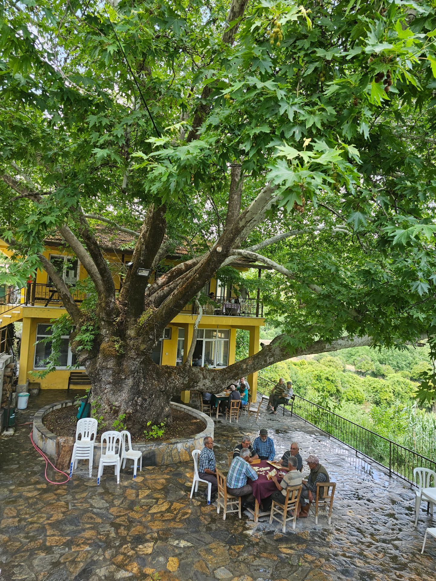 Denize yakın Doğa İçinde Dere Kenarı Yaşam Konsepti Oluşturacak ArsaMuğla, Milas, Dere
