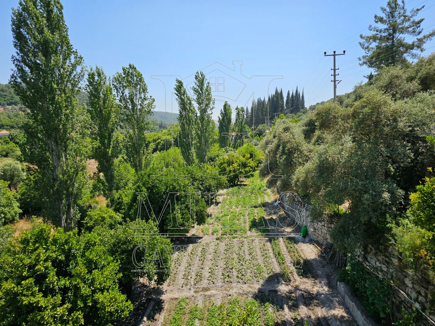 Denize yakın Doğa İçinde Dere Kenarı Yaşam Konsepti Oluşturacak ArsaMuğla, Milas, Dere - 12