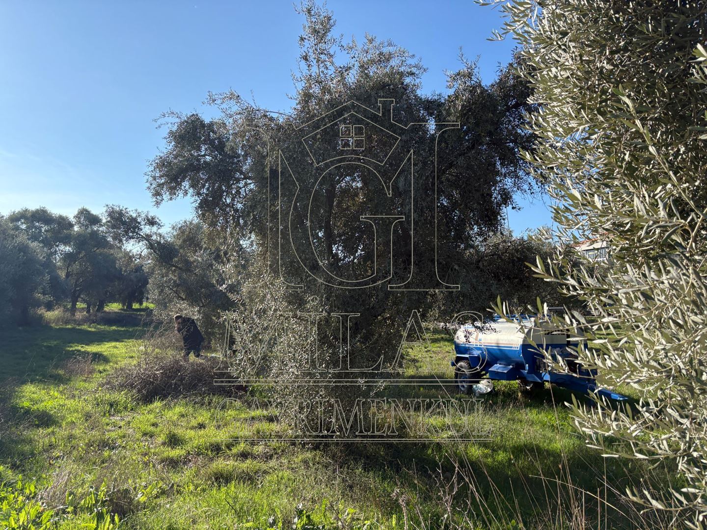 Milas Cumhuriyet Mahallesi İmar Sınırında 6.297 m² Satılık AraziMuğla, Milas, Cumhuriyet - 16