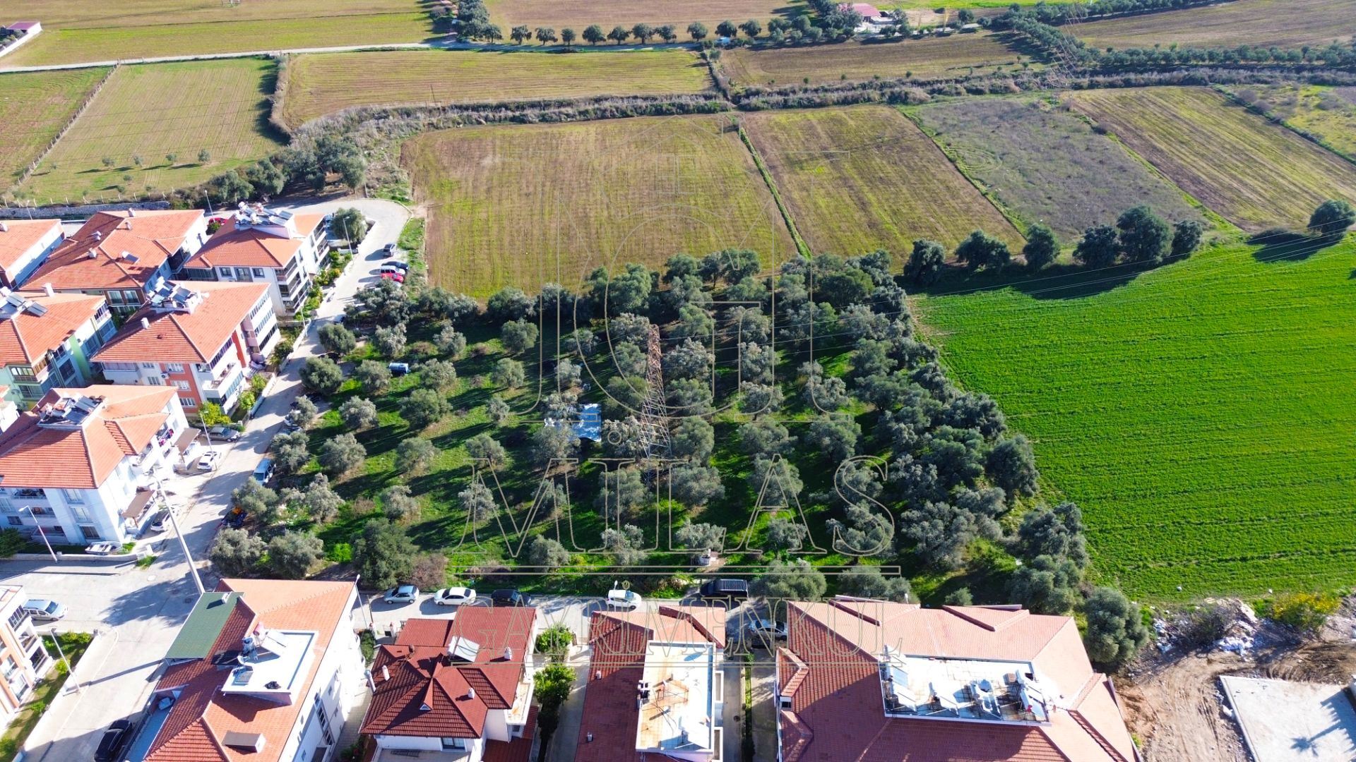 Milas Cumhuriyet Mahallesi İmar Sınırında 6.297 m² Satılık AraziMuğla, Milas, Cumhuriyet - 5