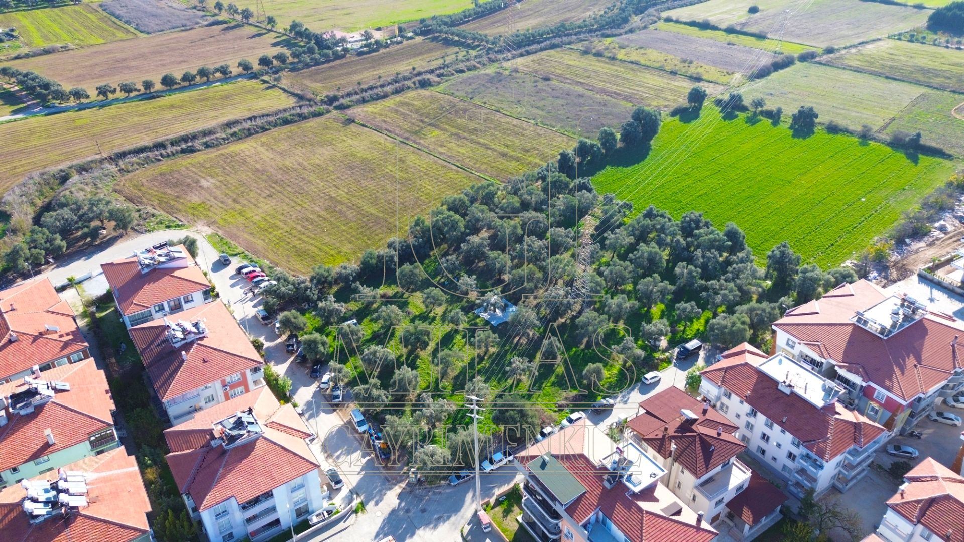 Milas Cumhuriyet Mahallesi İmar Sınırında 6.297 m² Satılık AraziMuğla, Milas, Cumhuriyet - 4