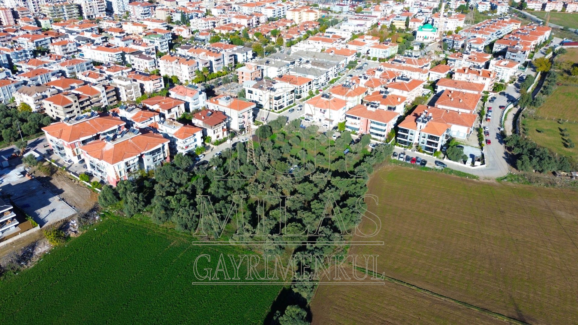 Milas Cumhuriyet Mahallesi İmar Sınırında 6.297 m² Satılık AraziMuğla, Milas, Cumhuriyet - 8