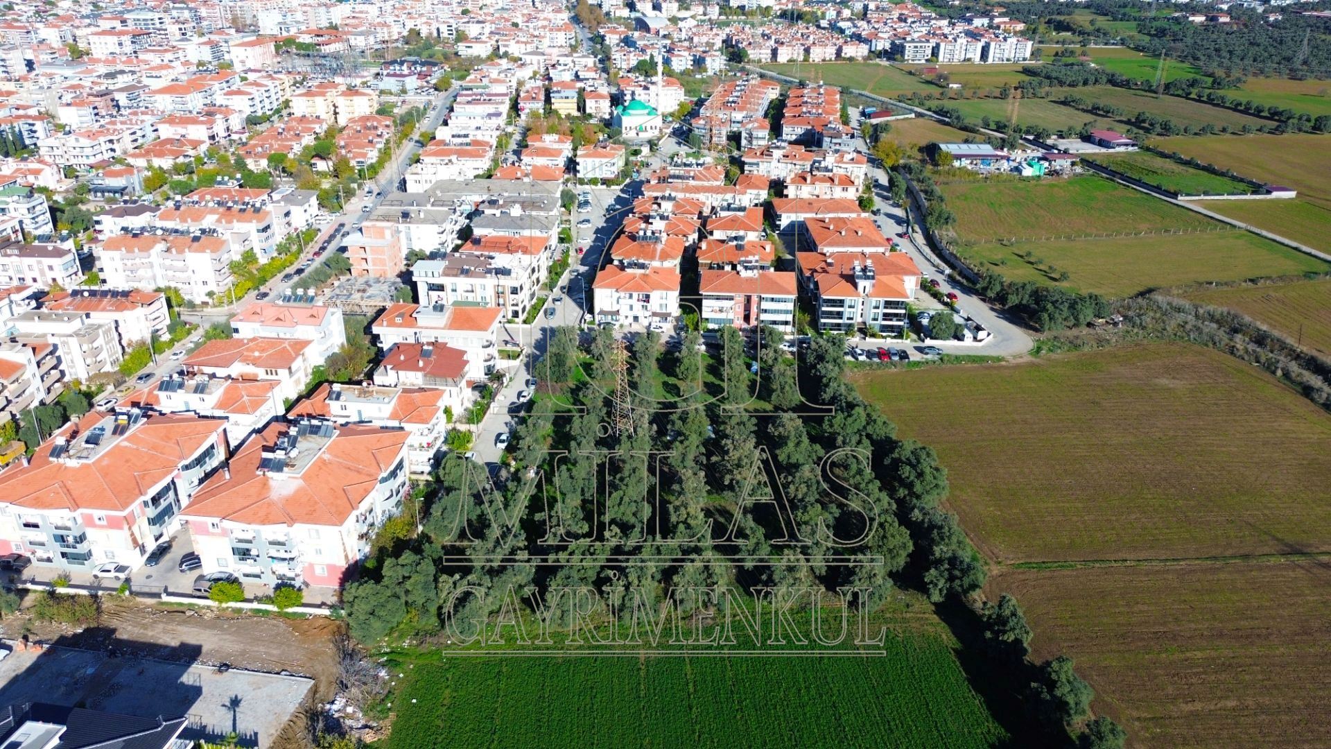 Milas Cumhuriyet Mahallesi İmar Sınırında 6.297 m² Satılık AraziMuğla, Milas, Cumhuriyet - 7