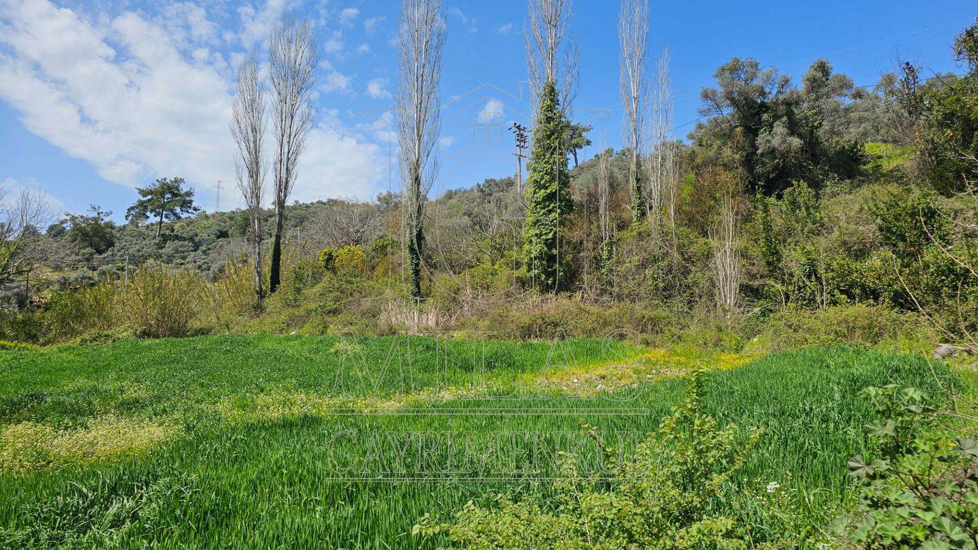 Denize yakın Doğa İçinde Dere Kenarı Yaşam Konsepti Oluşturacak ArsaMuğla, Milas, Dere - 9