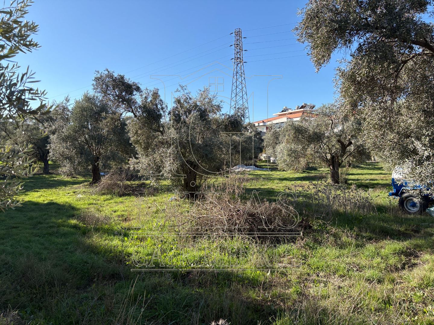 Milas Cumhuriyet Mahallesi İmar Sınırında 6.297 m² Satılık AraziMuğla, Milas, Cumhuriyet - 19