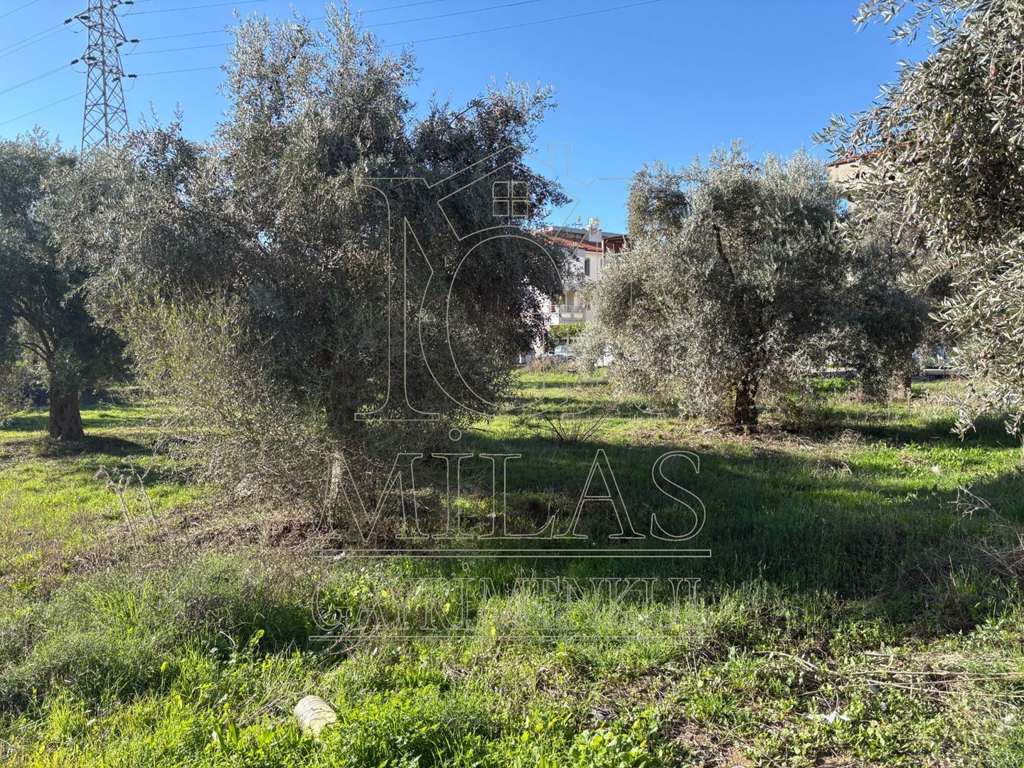 Milas Cumhuriyet Mahallesi İmar Sınırında 6.297 m² Satılık AraziMuğla, Milas, Cumhuriyet - 14