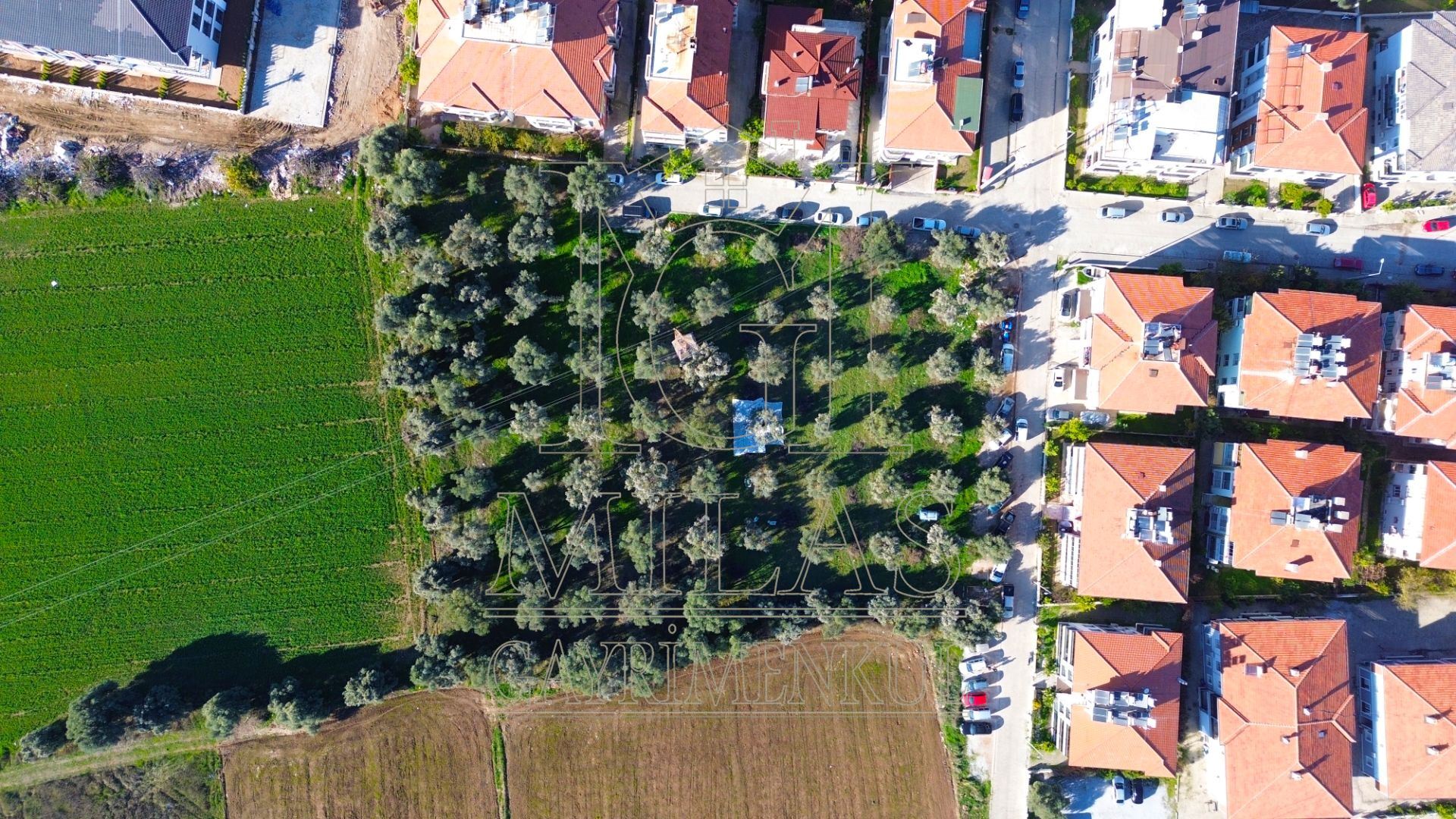 Milas Cumhuriyet Mahallesi İmar Sınırında 6.297 m² Satılık AraziMuğla, Milas, Cumhuriyet - 11