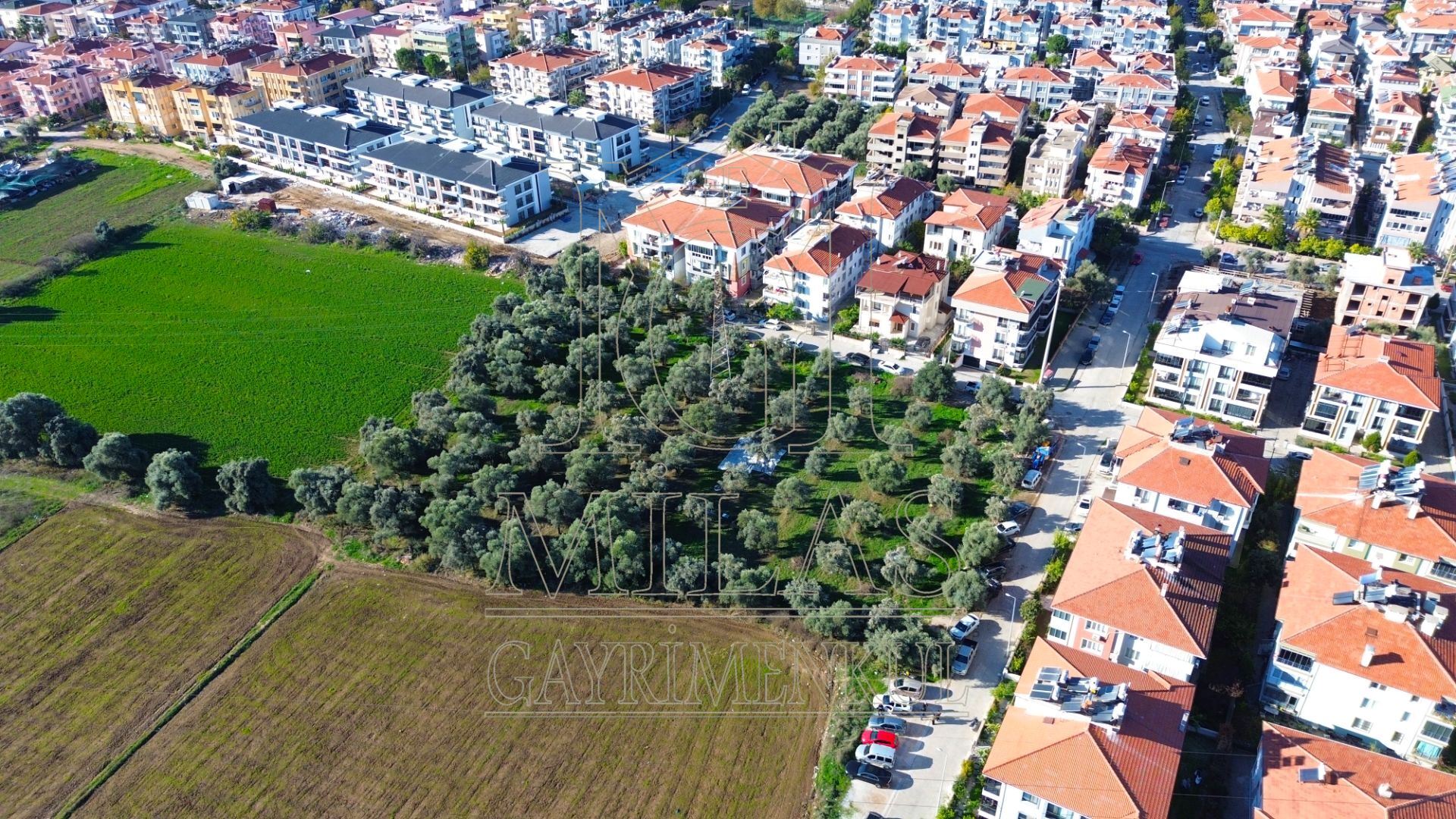 Milas Cumhuriyet Mahallesi İmar Sınırında 6.297 m² Satılık AraziMuğla, Milas, Cumhuriyet - 2
