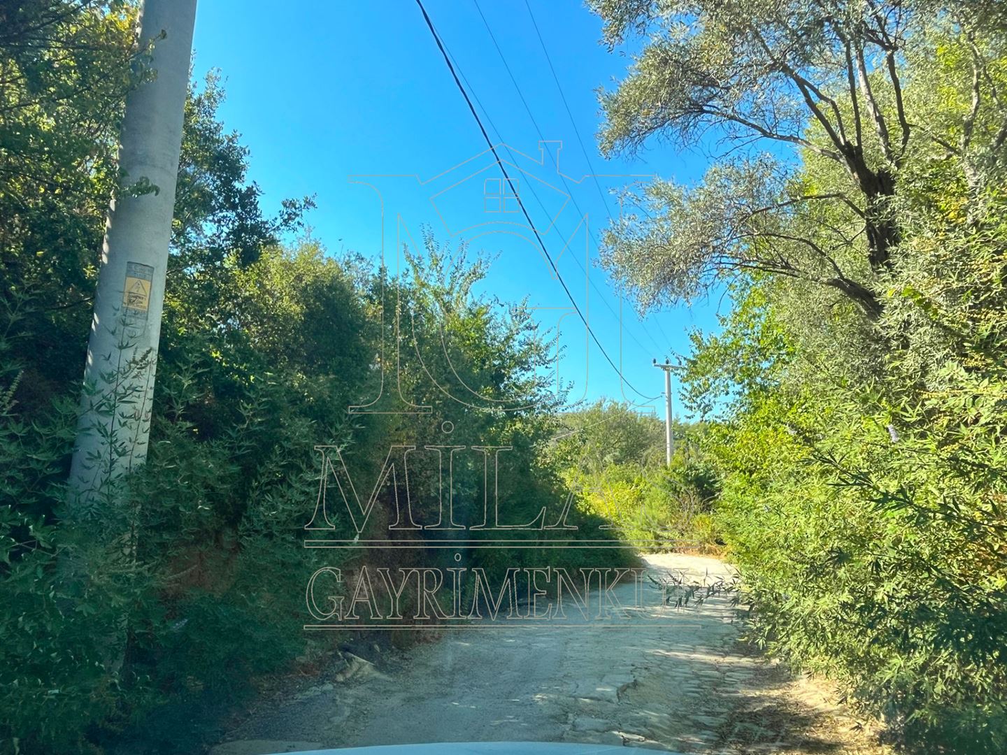 Milas Aslanyaka Mahallesinde 2747 m² Satılık Konut İmarlı ArsaMuğla, Milas, Aslanyaka - 8