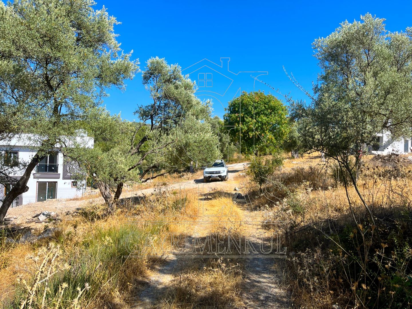 Milas Aslanyaka Mahallesinde 2747 m² Satılık Konut İmarlı ArsaMuğla, Milas, Aslanyaka - 5