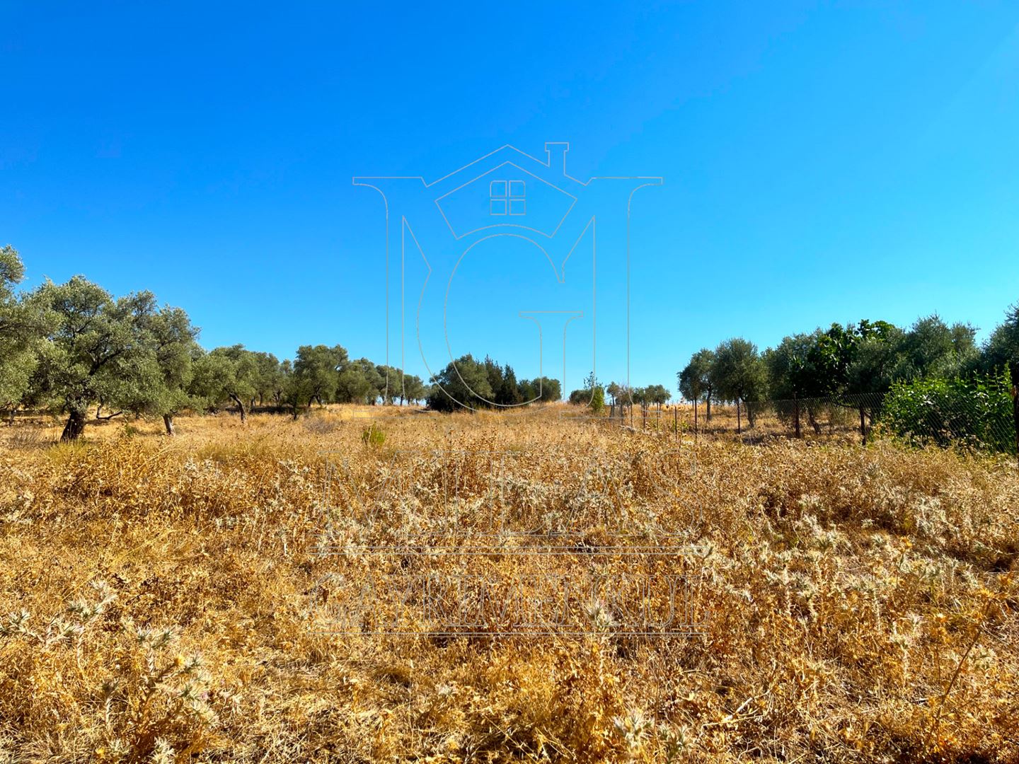 Milas Aslanyaka Mahallesinde 2747 m² Satılık Konut İmarlı ArsaMuğla, Milas, Aslanyaka - 6