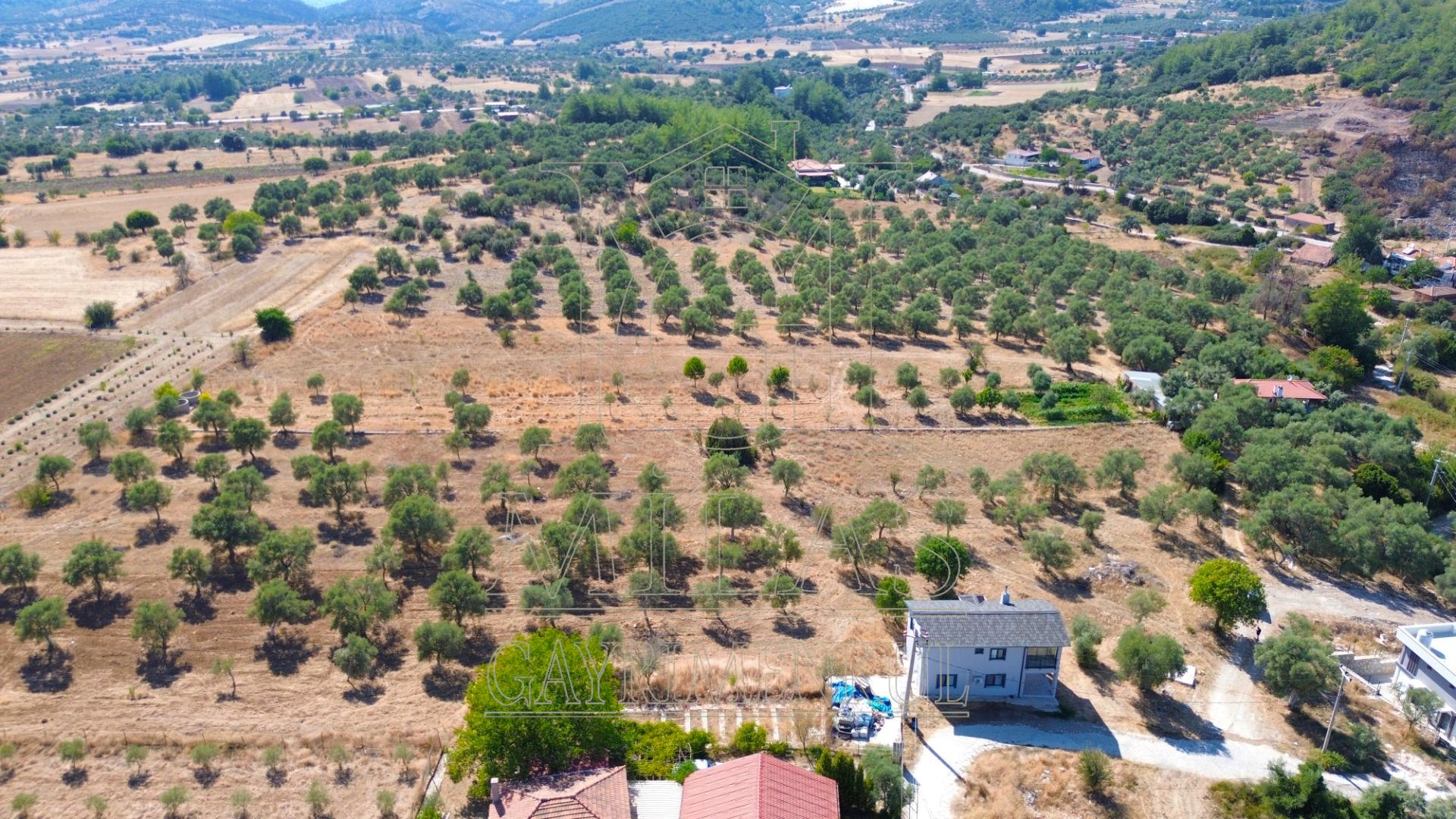 Milas Aslanyaka Mahallesinde 2747 m² Satılık Konut İmarlı ArsaMuğla, Milas, Aslanyaka - 4