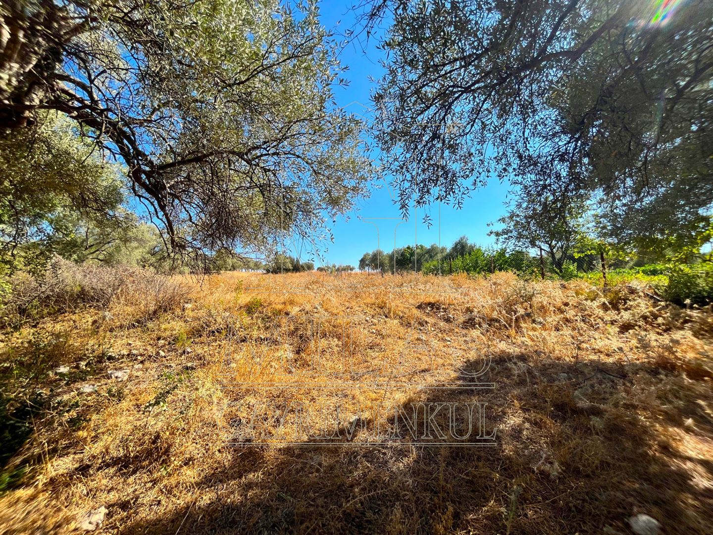 Milas Aslanyaka Mahallesinde 2747 m² Satılık Konut İmarlı ArsaMuğla, Milas, Aslanyaka - 7