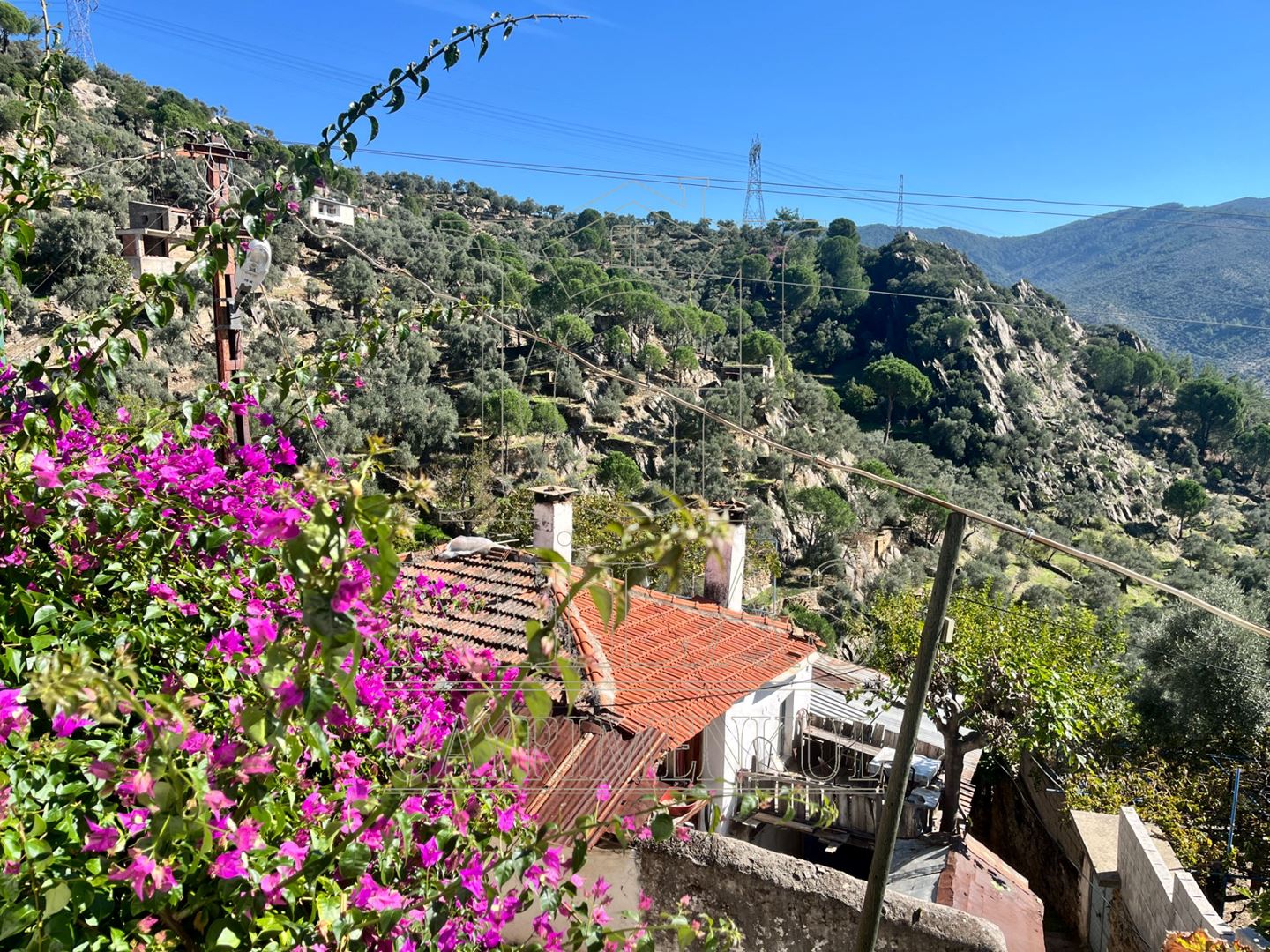 Milas'ta Doğa Manzaralı Bahçeli Satılık Müstakil EvMuğla, Milas, Kargıcak