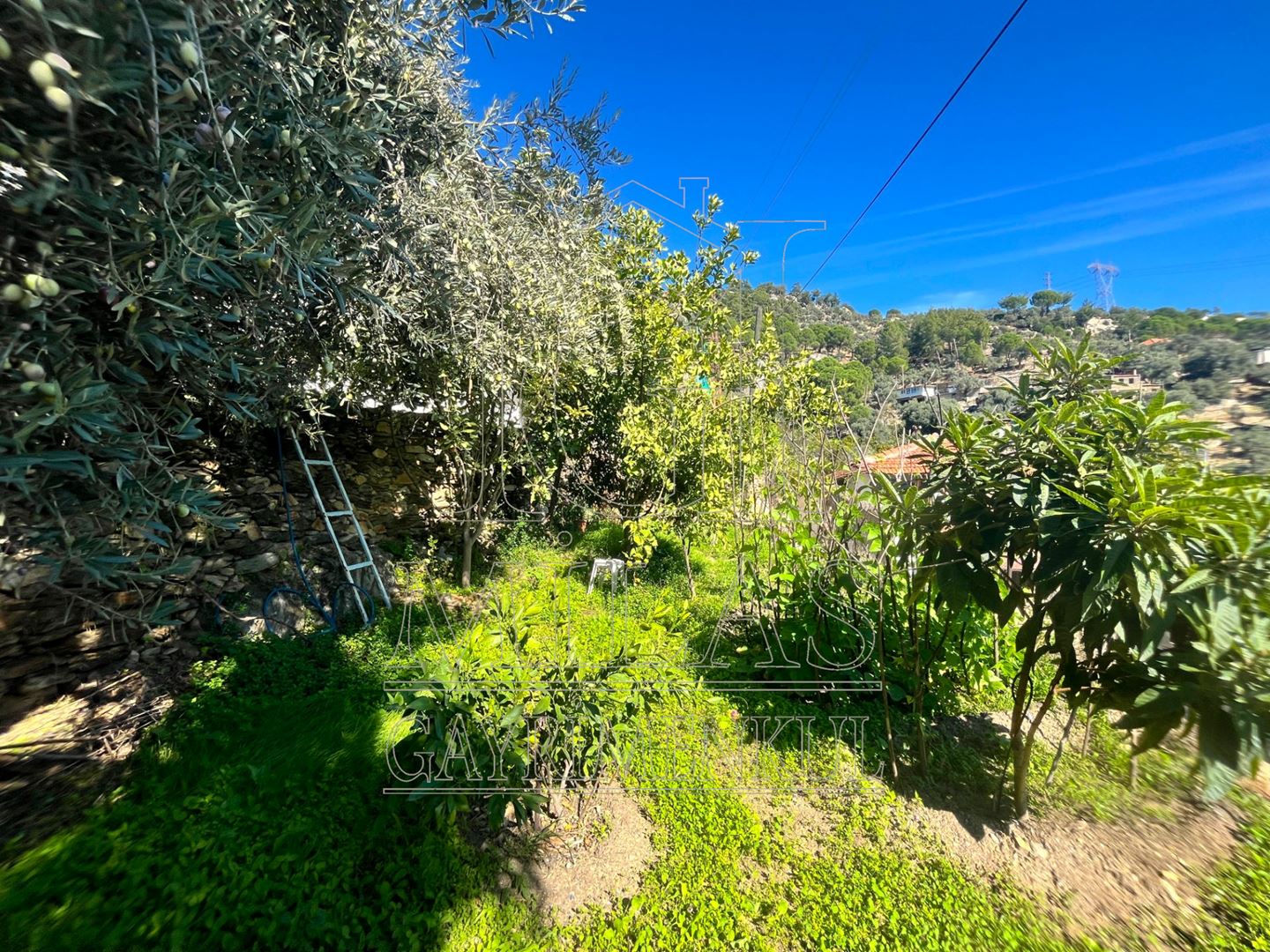 Milas'ta Doğa Manzaralı Bahçeli Satılık Müstakil EvMuğla, Milas, Kargıcak - 35