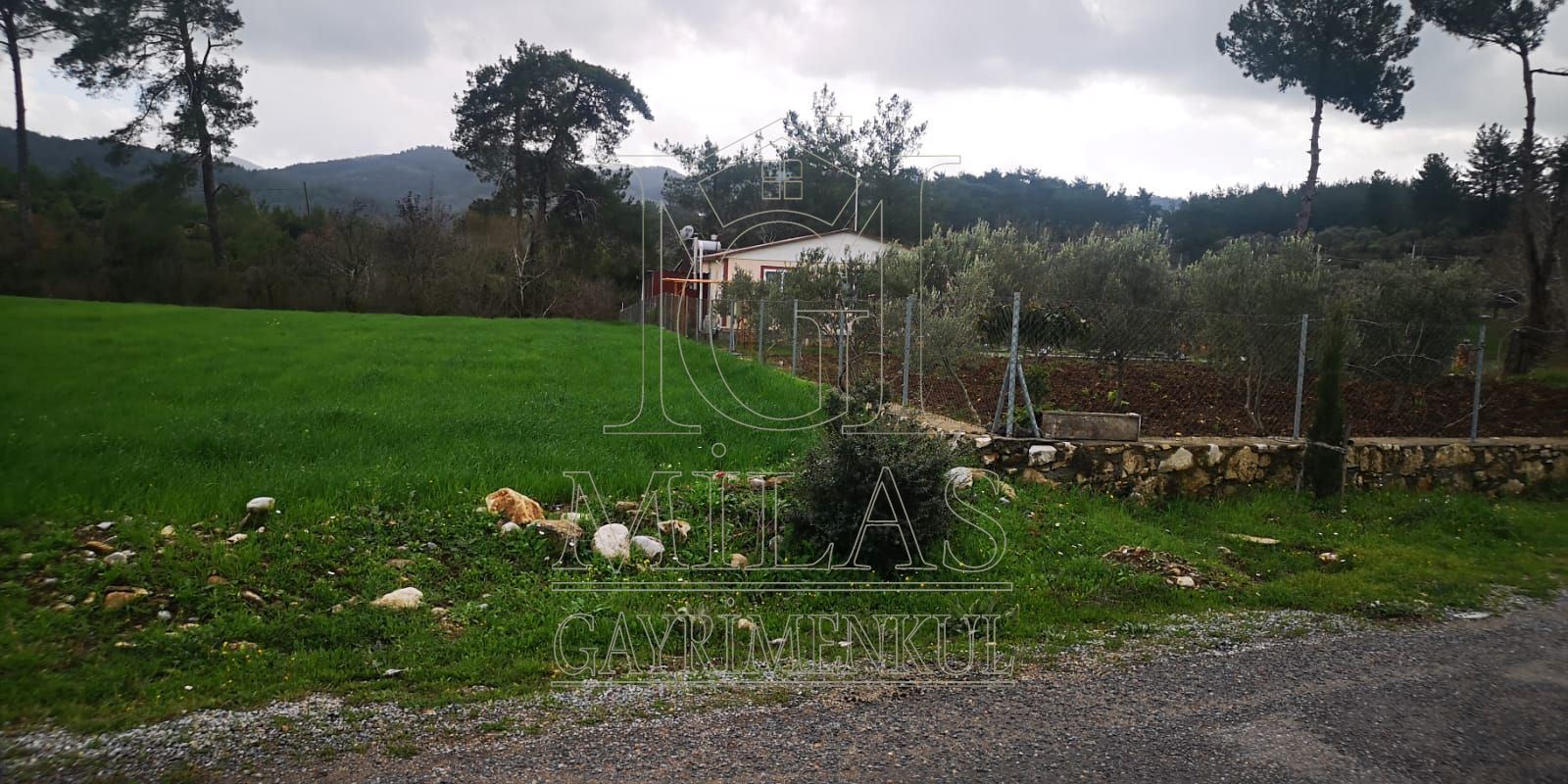 Milas Karacahisar'da Kadastrol Yola Cepheli Satılık TarlaMuğla, Milas, Karacahisar - 4