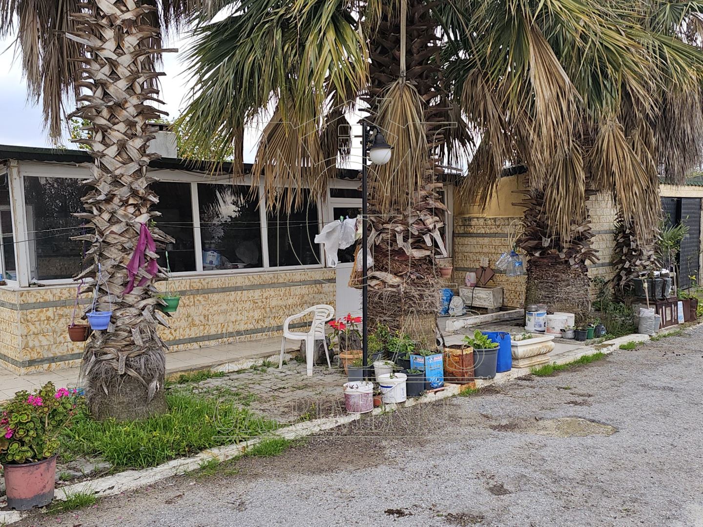 Milas Ağaçlıhöyük'te Satılık 3780M², Bahçeli, Havuzlu Çiftlik EviMuğla, Milas, Ağaçlıhüyük - 10