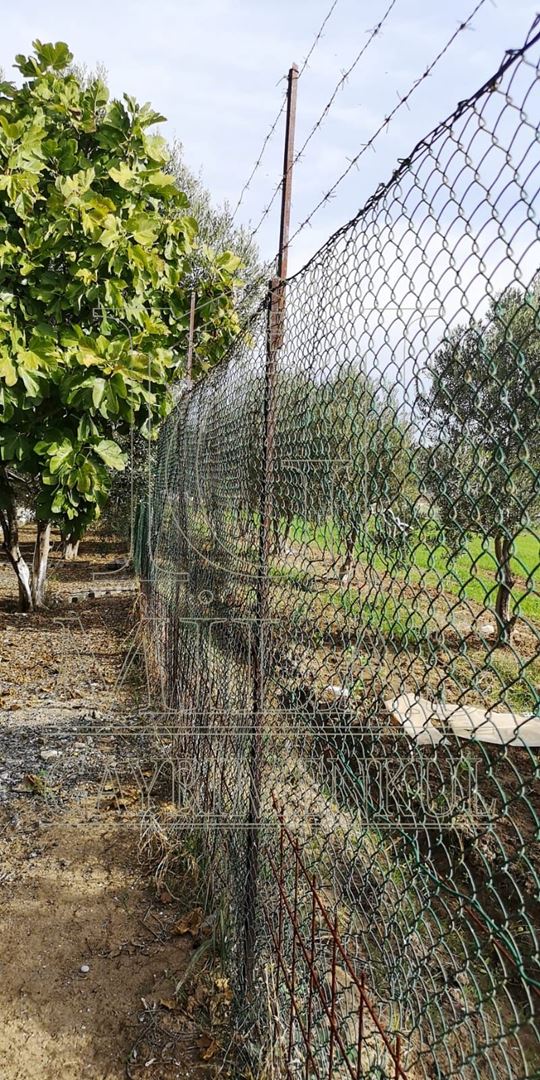 Milas Ağaçlıhöyük'te Satılık 3780M², Bahçeli, Havuzlu Çiftlik EviMuğla, Milas, Ağaçlıhüyük - 9