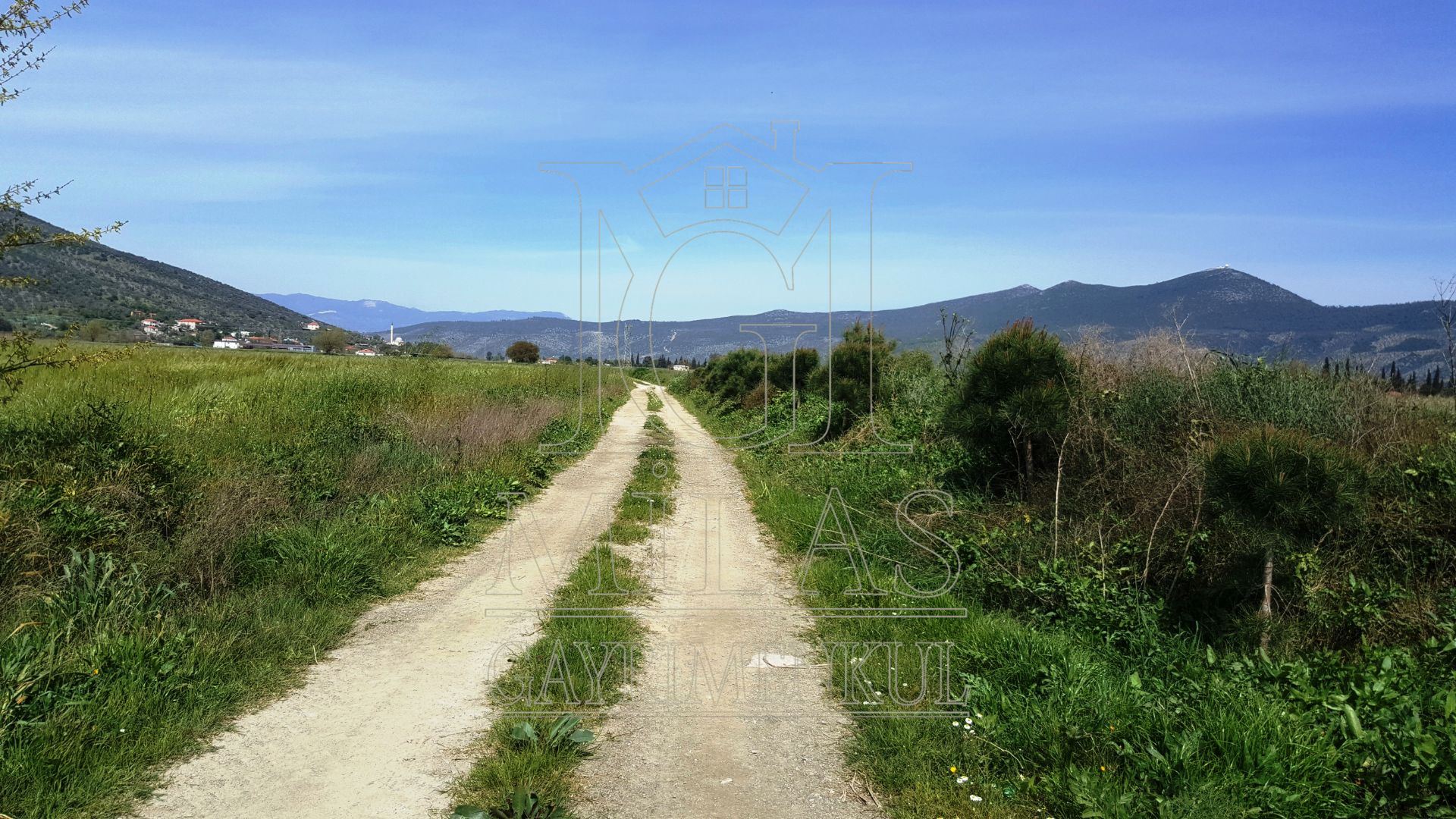 MİLAS KIYIKIŞLACIK YOLU ÜZERİNDE VERİMLİ 26852 M2 SATILIK ARAZİMuğla, Milas, Yaşyer - 3