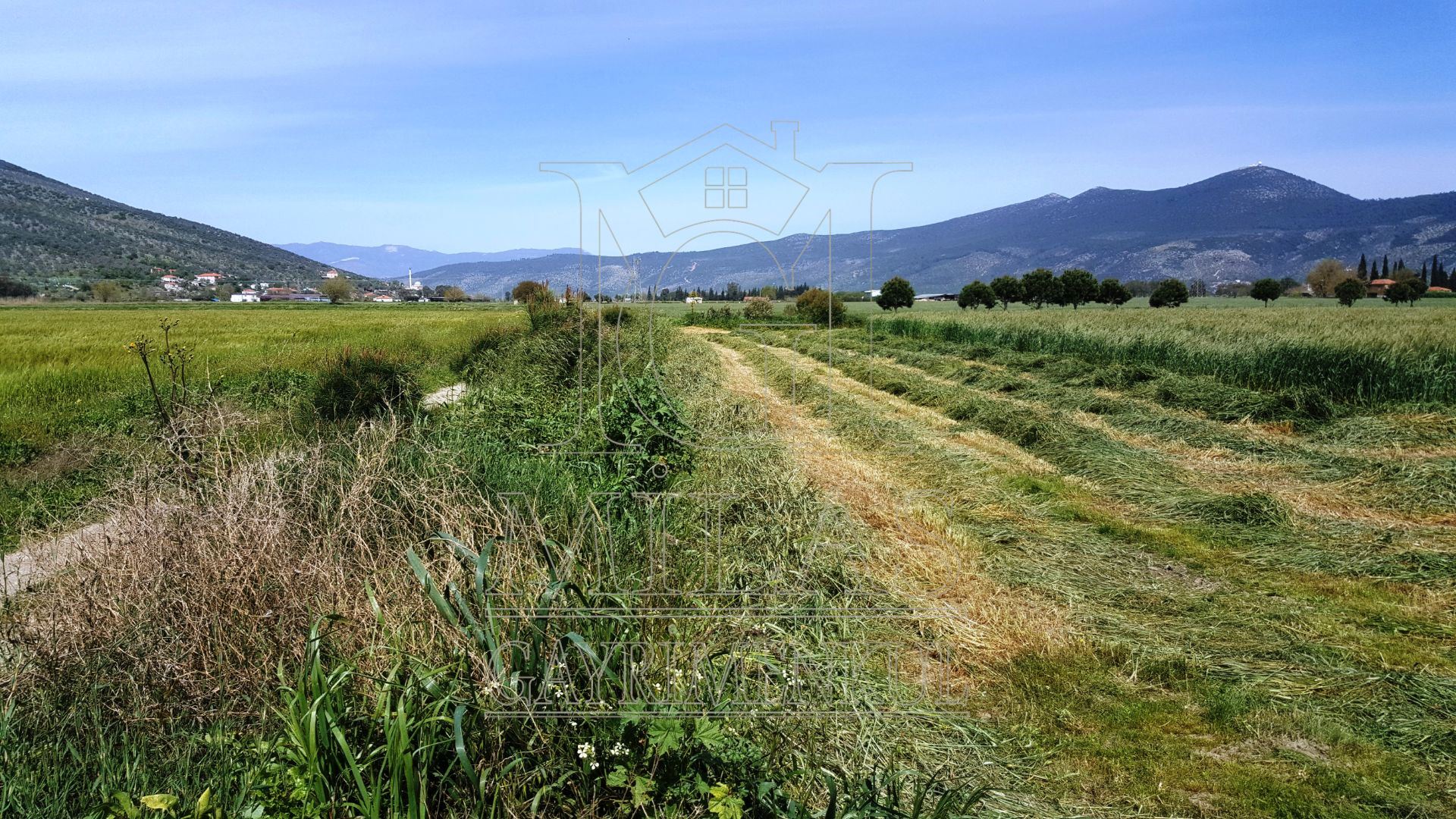 MİLAS KIYIKIŞLACIK YOLU ÜZERİNDE VERİMLİ 26852 M2 SATILIK ARAZİMuğla, Milas, Yaşyer - 4