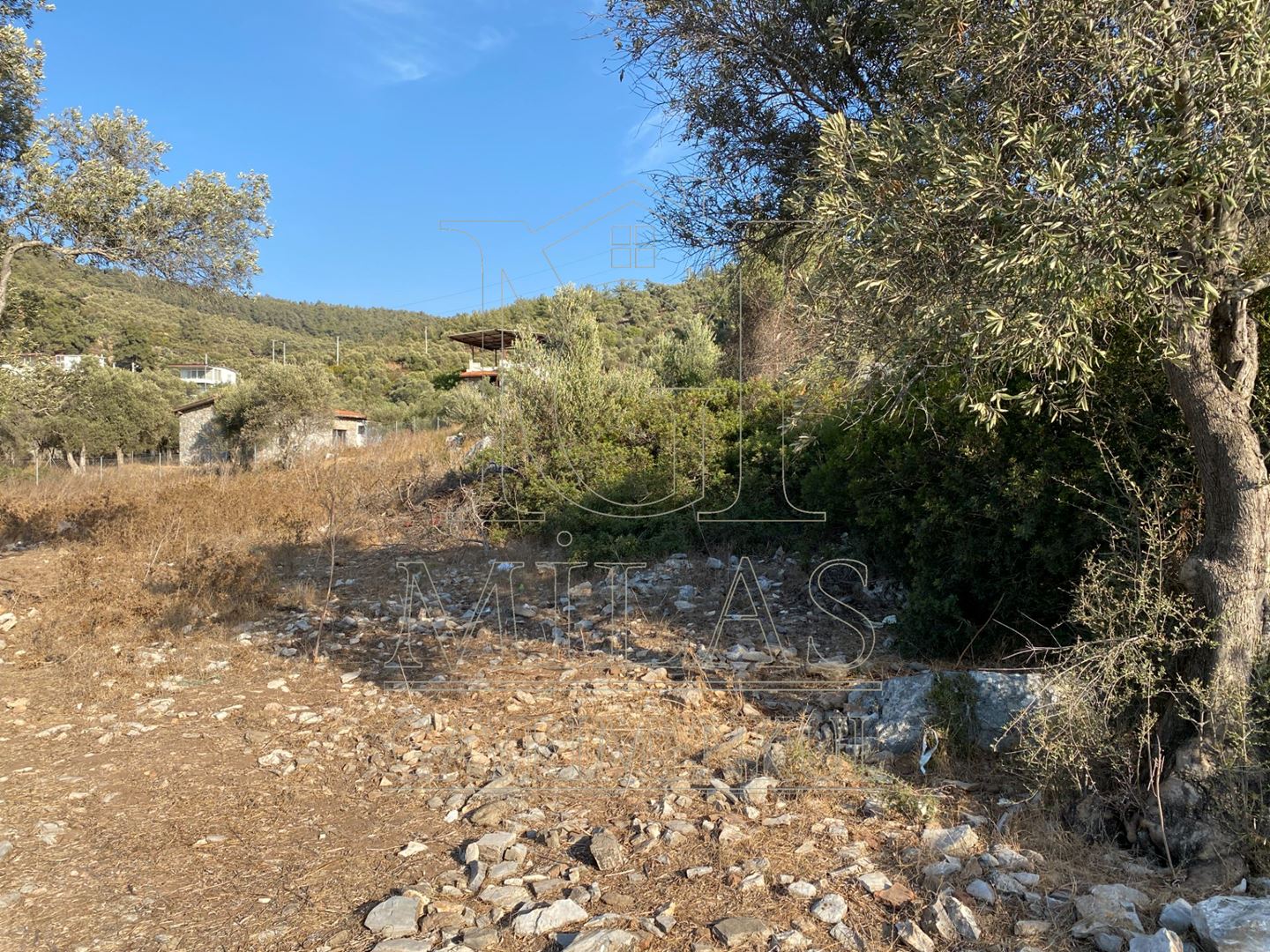 KIYIKIŞLACIK'TA ÖZEL KOYDA DENİZE SIFIR SATILIK ARAZİMuğla, Milas, Kıyıkışlacık - 16