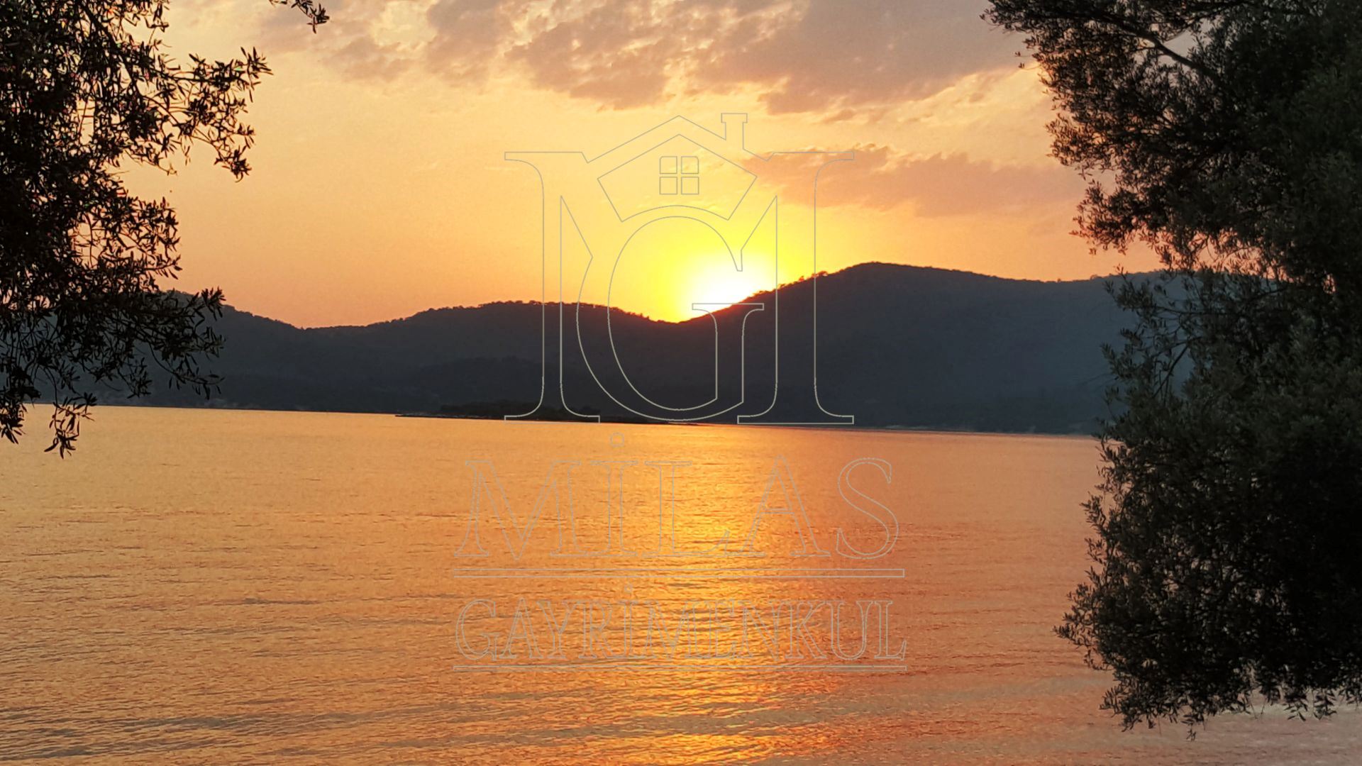 KIYIKIŞLACIK'TA ÖZEL KOYDA DENİZE SIFIR SATILIK ARAZİMuğla, Milas, Kıyıkışlacık - 3