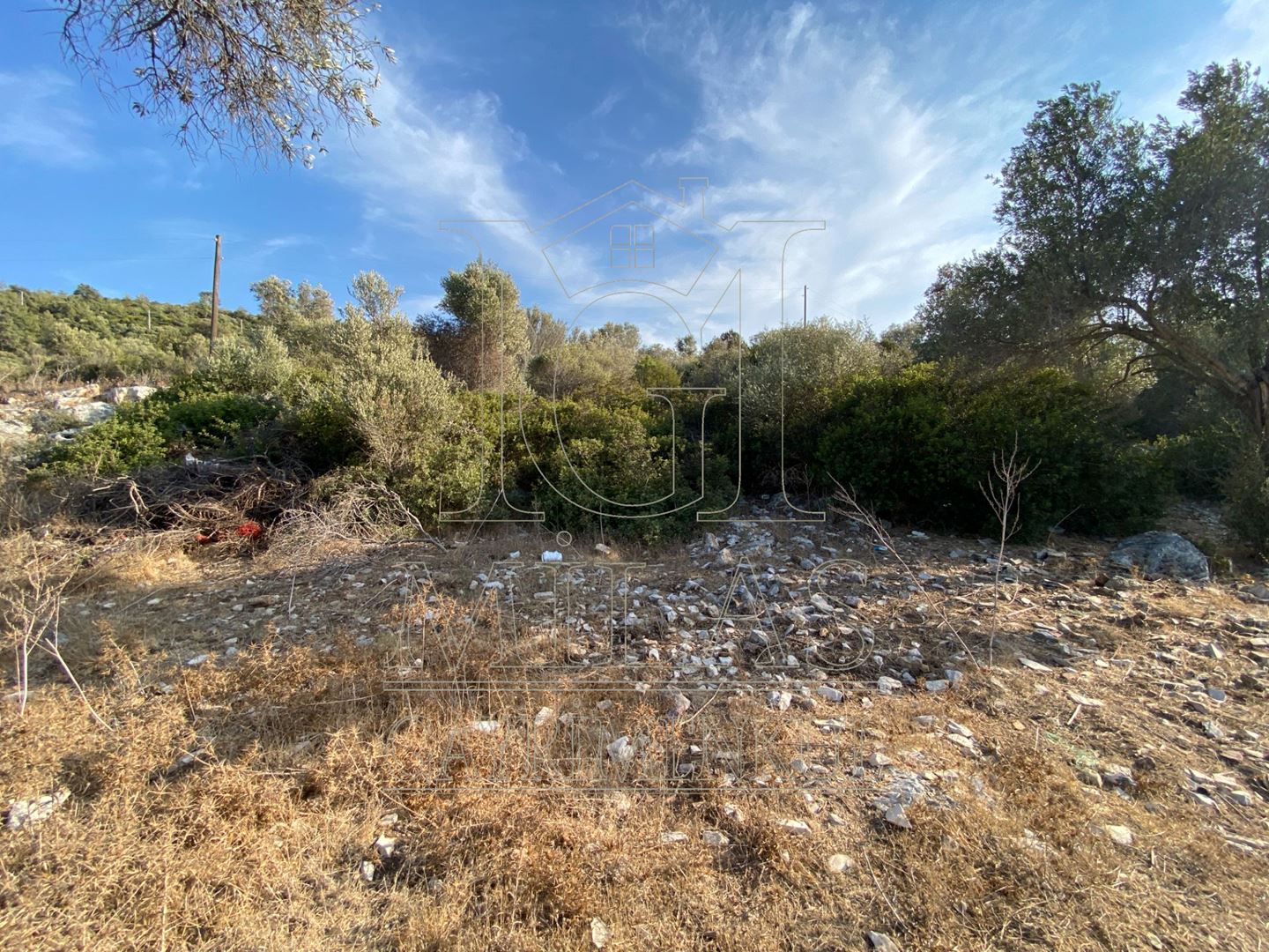 KIYIKIŞLACIK'TA ÖZEL KOYDA DENİZE SIFIR SATILIK ARAZİMuğla, Milas, Kıyıkışlacık - 19