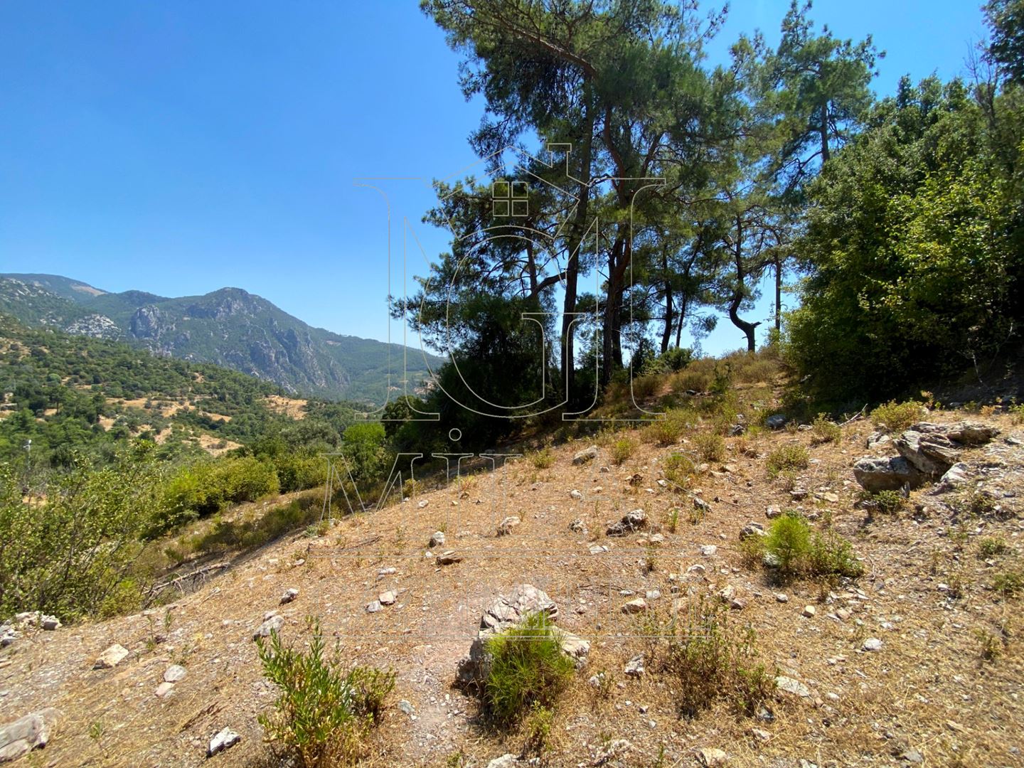 Milas Ören Kalemde Deniz ve Doğa Manzaralı 1300M² Konut İmarlı ArsaMuğla, Milas, Kalem - 22