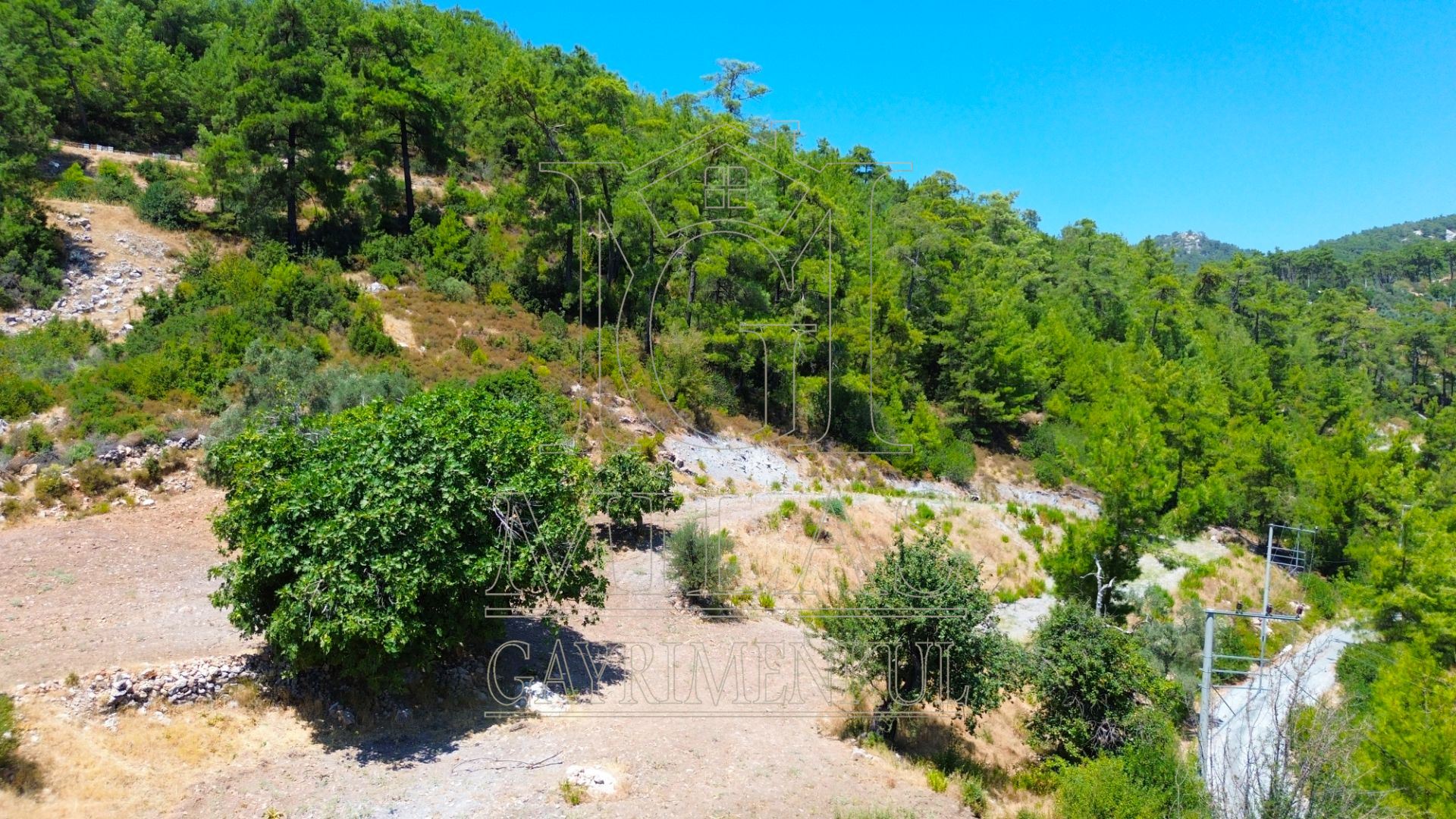 Milas Ören Kalemde Deniz ve Doğa Manzaralı 1300M² Konut İmarlı ArsaMuğla, Milas, Kalem - 12