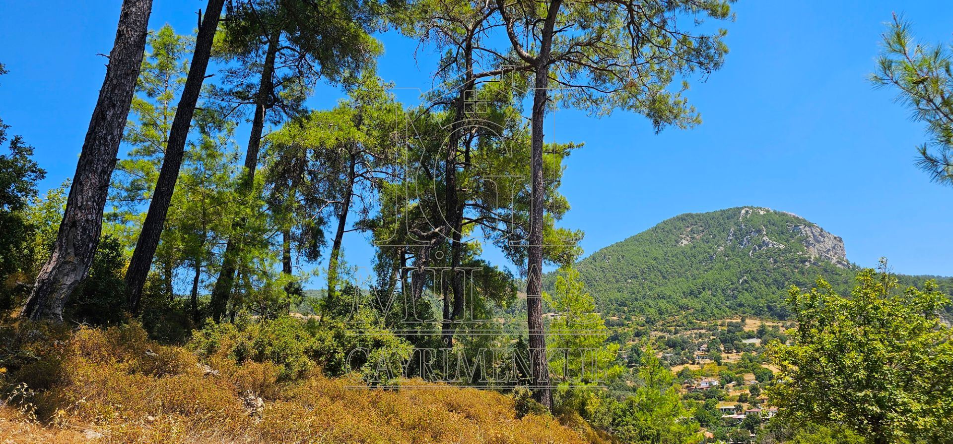 Milas Ören Kalemde Deniz ve Doğa Manzaralı 1300M² Konut İmarlı ArsaMuğla, Milas, Kalem - 8