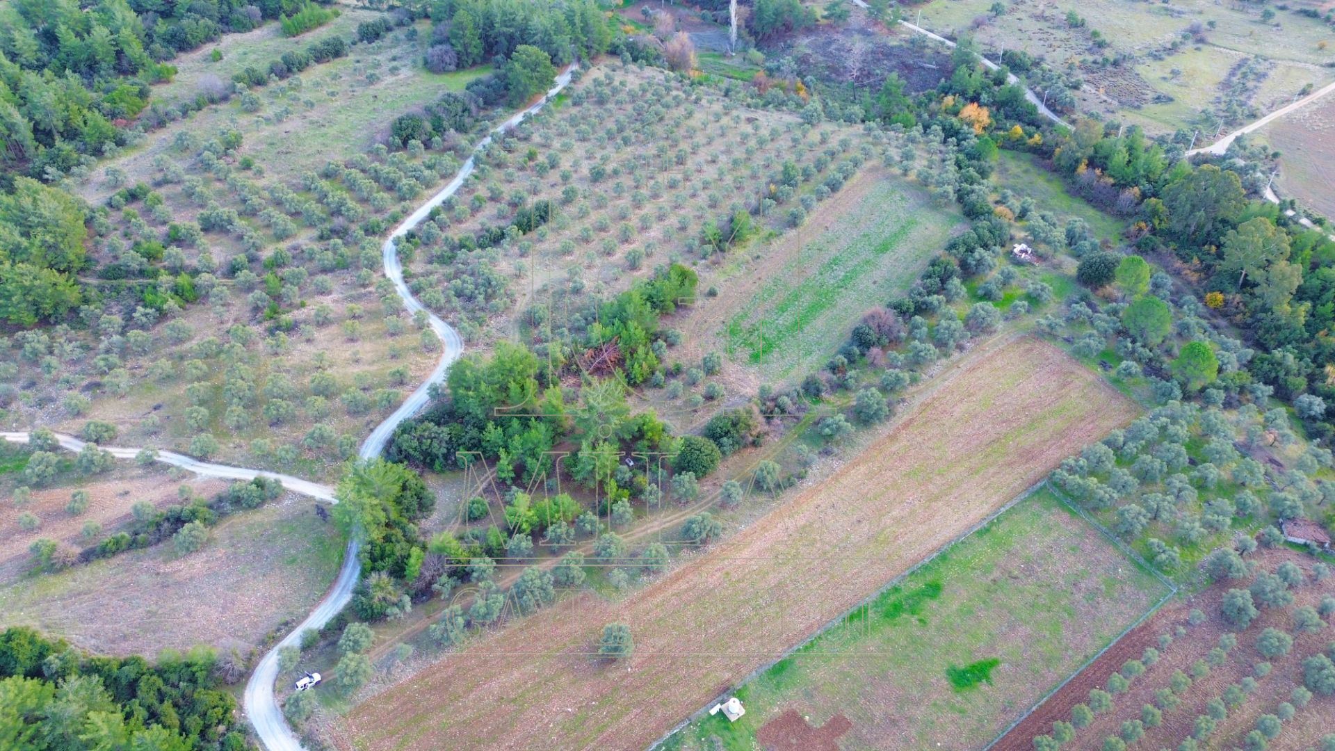 Milas Aslanyaka Mahallesinde 13.076 M² Satılık Çiftlik ArazisiMuğla, Milas, Aslanyaka - 8