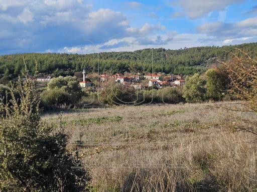 Milas Aslanyaka Mahallesinde 13.076 M² Satılık Çiftlik ArazisiMuğla, Milas, Aslanyaka - 32