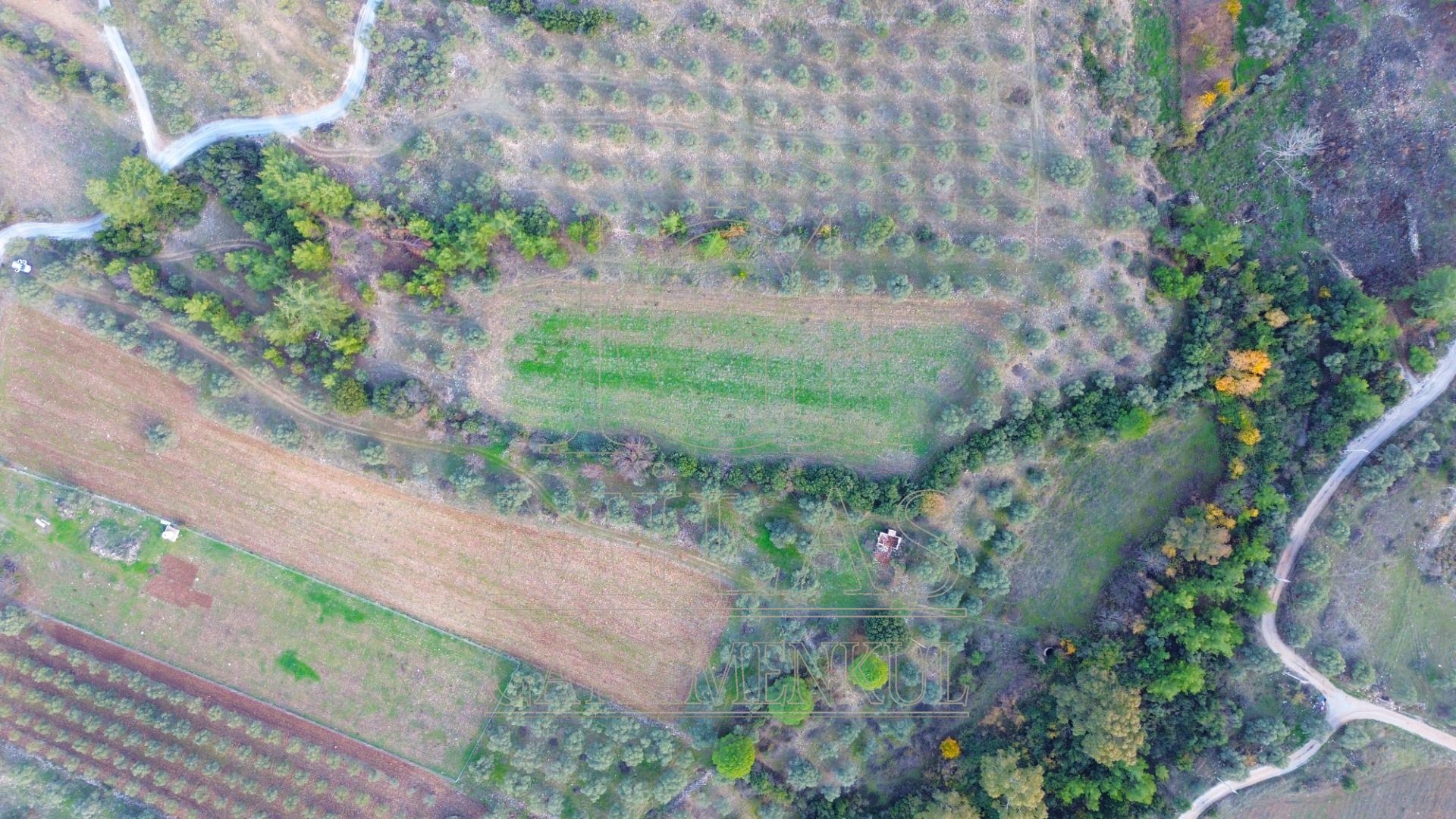 Milas Aslanyaka Mahallesinde 13.076 M² Satılık Çiftlik ArazisiMuğla, Milas, Aslanyaka - 7