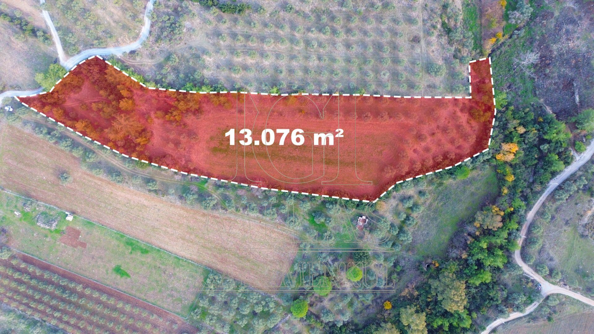 Milas Aslanyaka Mahallesinde 13.076 M² Satılık Çiftlik ArazisiMuğla, Milas, Aslanyaka - 6