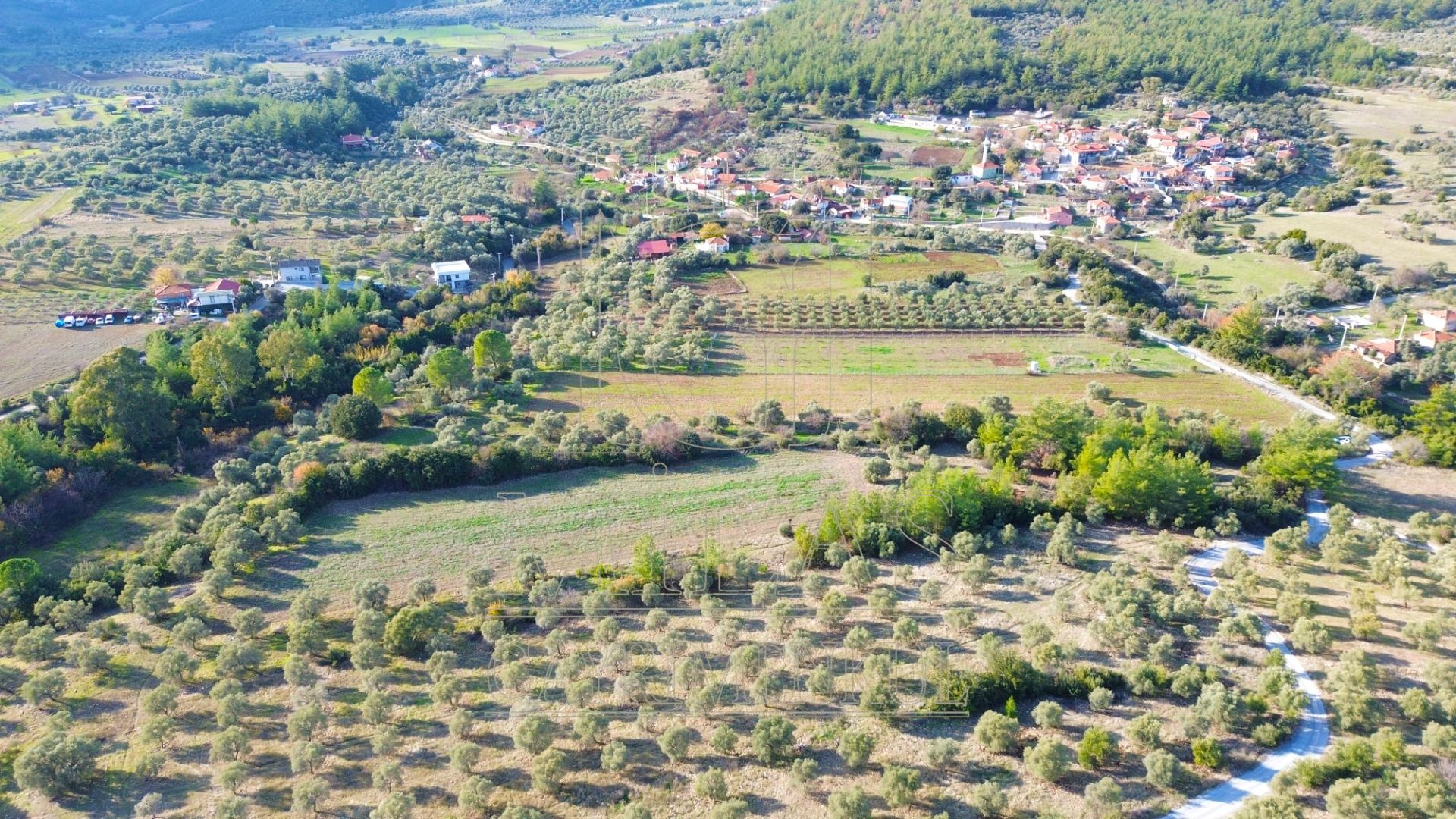 Milas Aslanyaka Mahallesinde 13.076 M² Satılık Çiftlik ArazisiMuğla, Milas, Aslanyaka - 13