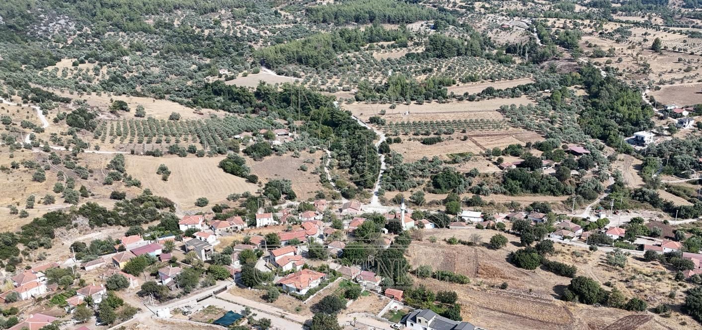 Milas Aslanyaka Mahallesinde 13.076 M² Satılık Çiftlik ArazisiMuğla, Milas, Aslanyaka - 3