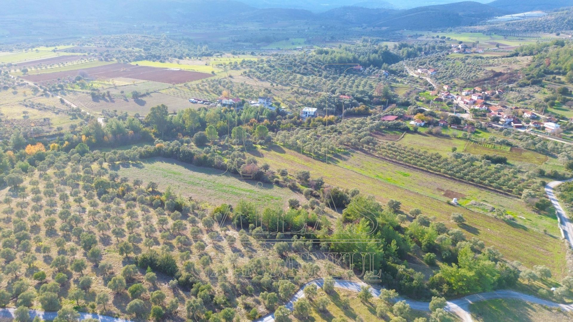 Milas Aslanyaka Mahallesinde 13.076 M² Satılık Çiftlik ArazisiMuğla, Milas, Aslanyaka - 15